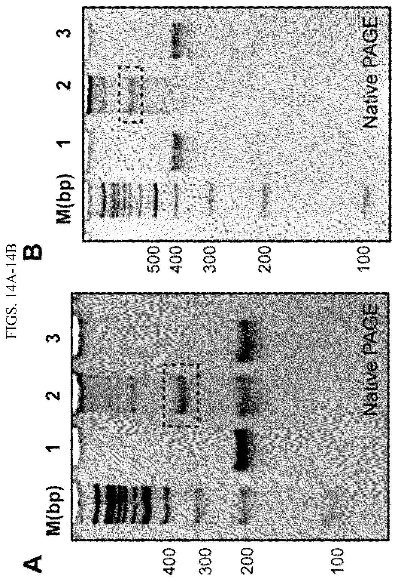 Patent US11814659 Figure 20 – Tunable nanoscale cages from self-assembling DNA and protein building blocks