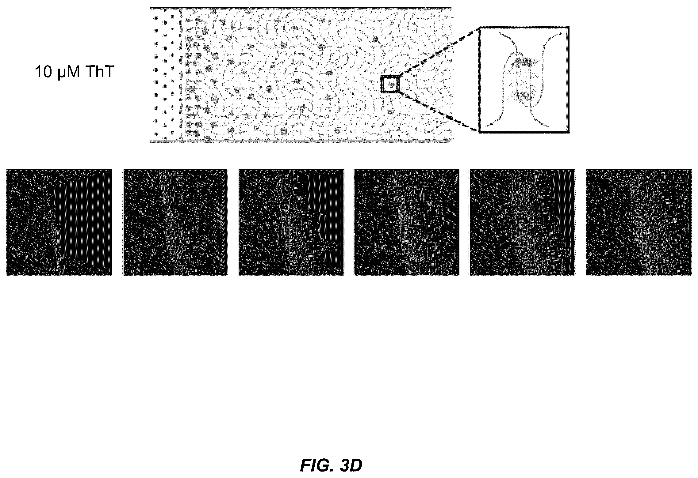 Patent US11814662 Figure 6 – Programmed DNA-driven self-assembled RNA hydrogel