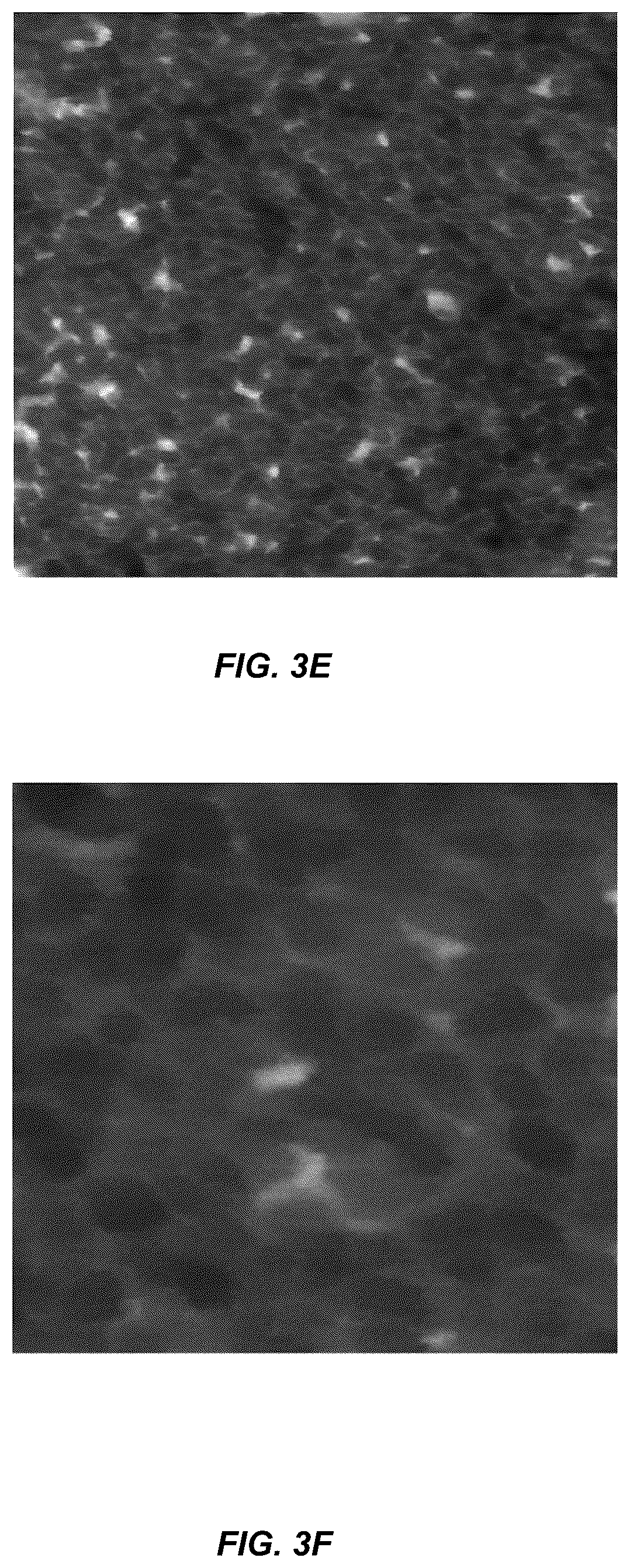 Patent US11814662 Figure 7 – Programmed DNA-driven self-assembled RNA hydrogel