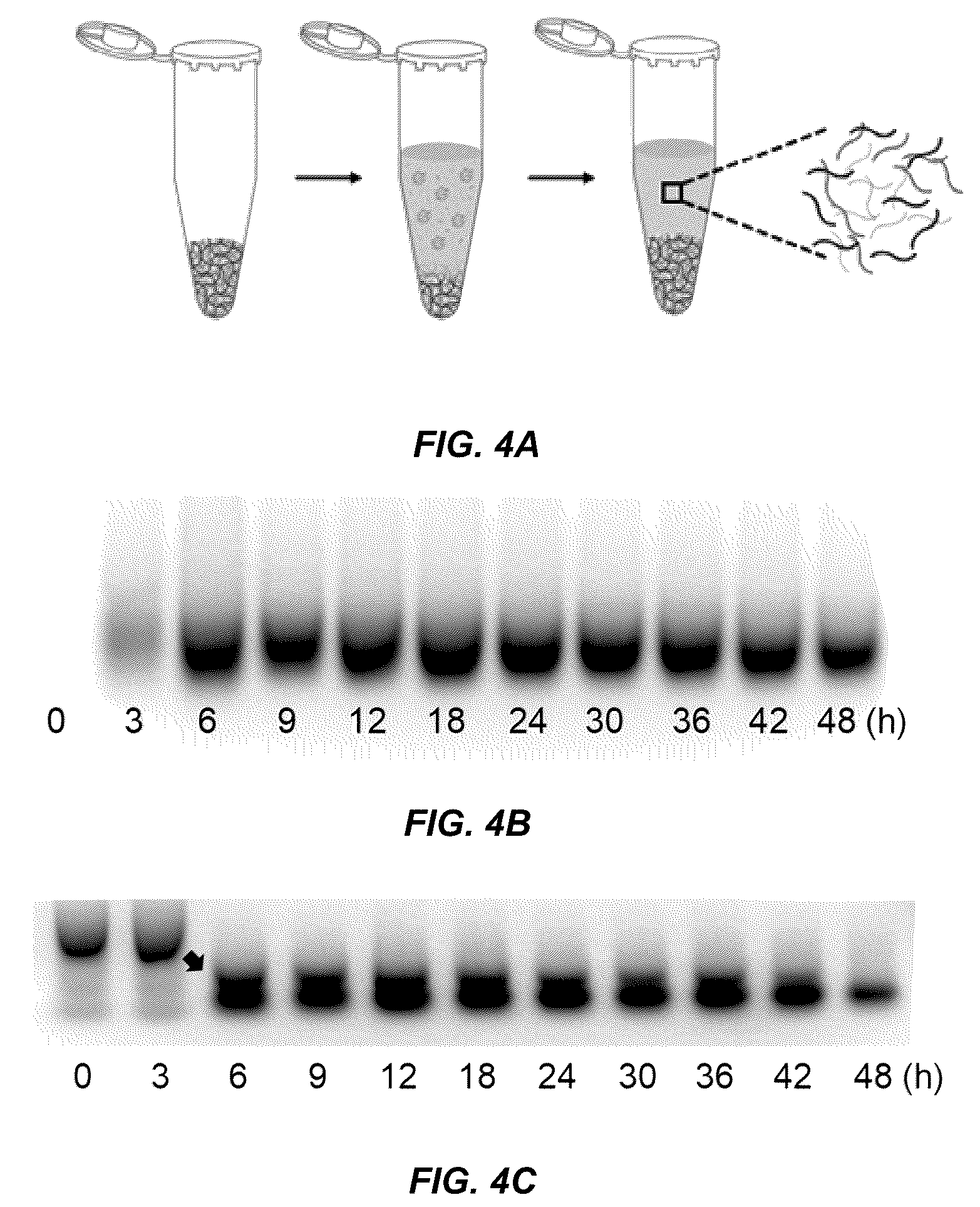 Patent US11814662 Figure 8 – Programmed DNA-driven self-assembled RNA hydrogel