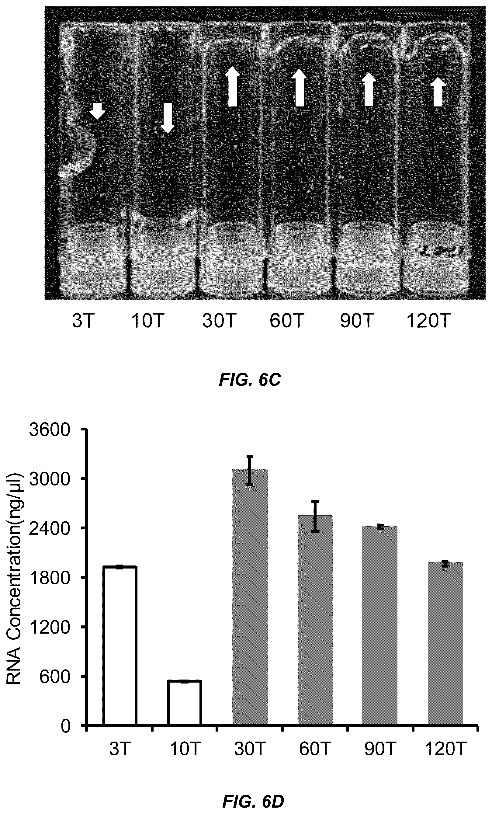 Patent US11814662 Figure 17 – Programmed DNA-driven self-assembled RNA hydrogel