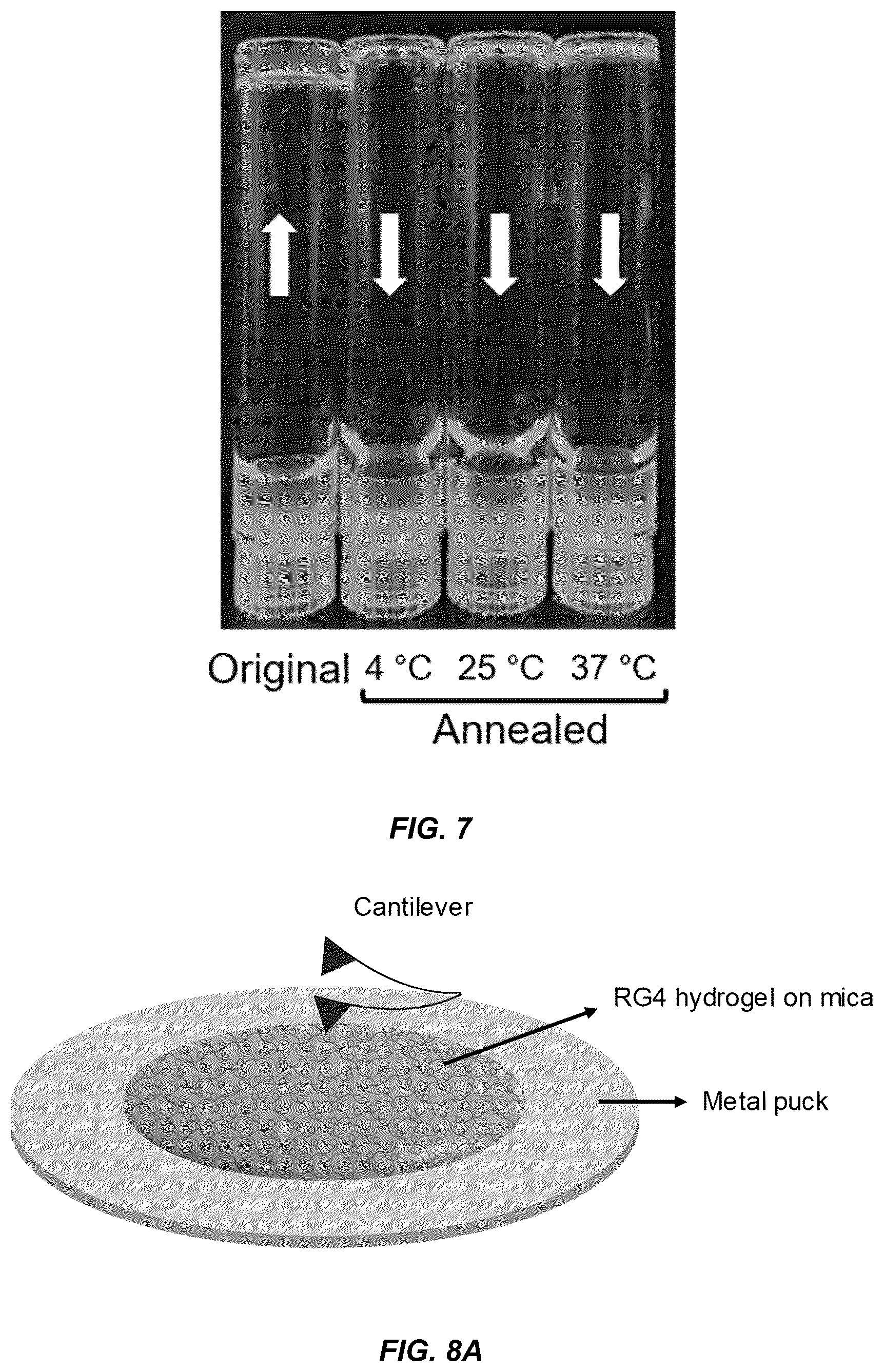 Patent US11814662 Figure 18 – Programmed DNA-driven self-assembled RNA hydrogel