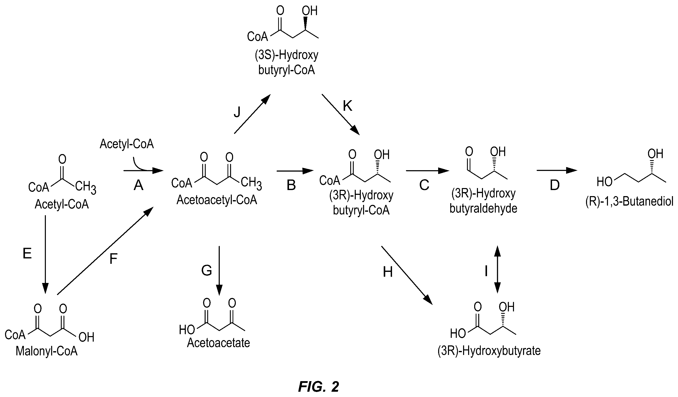 Patent US11814664 Figure 2 – Microorganisms and methods for producing (3R)-hydroxybutyl (3R)-hydroxybutyrate