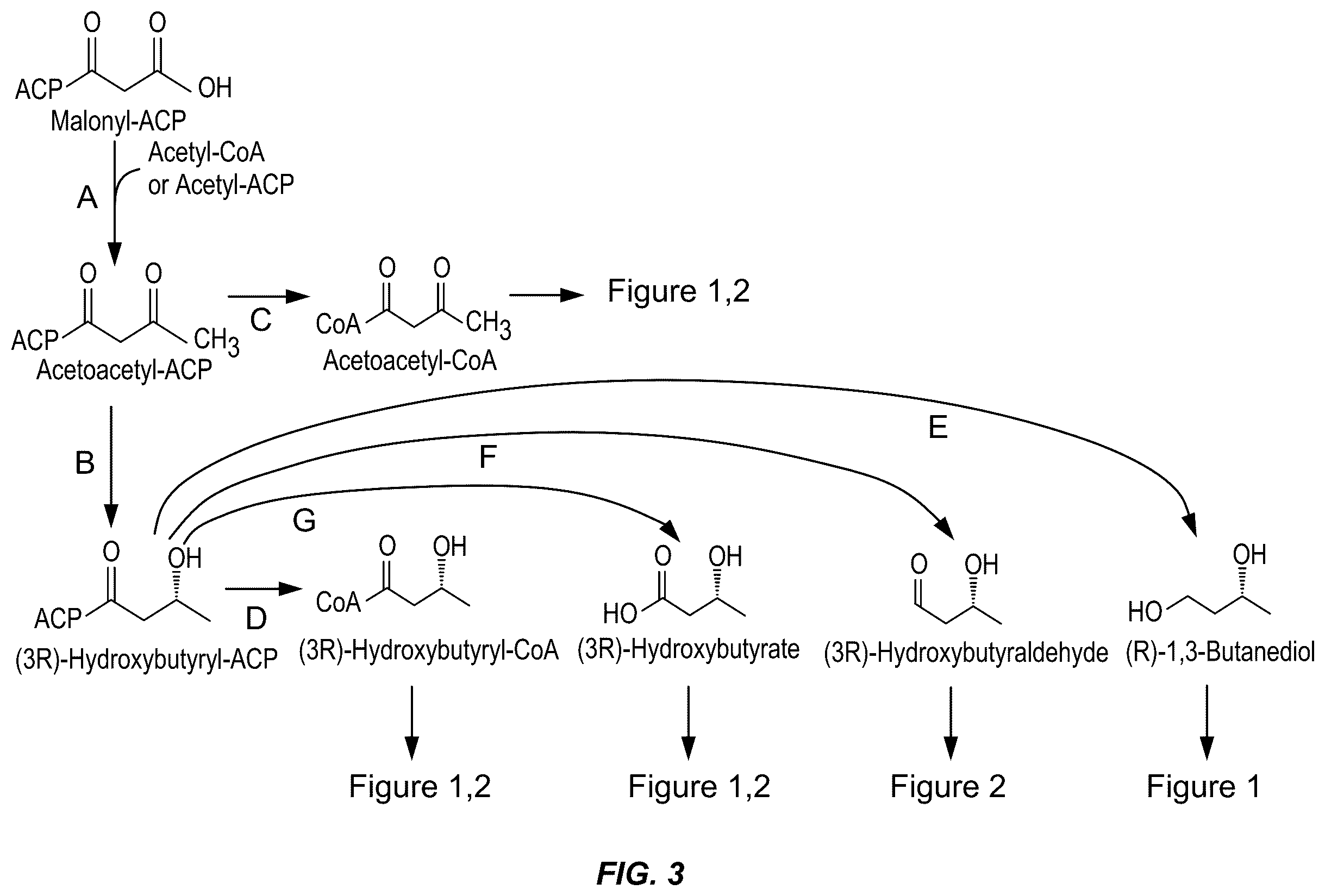 Patent US11814664 Figure 3 – Microorganisms and methods for producing (3R)-hydroxybutyl (3R)-hydroxybutyrate