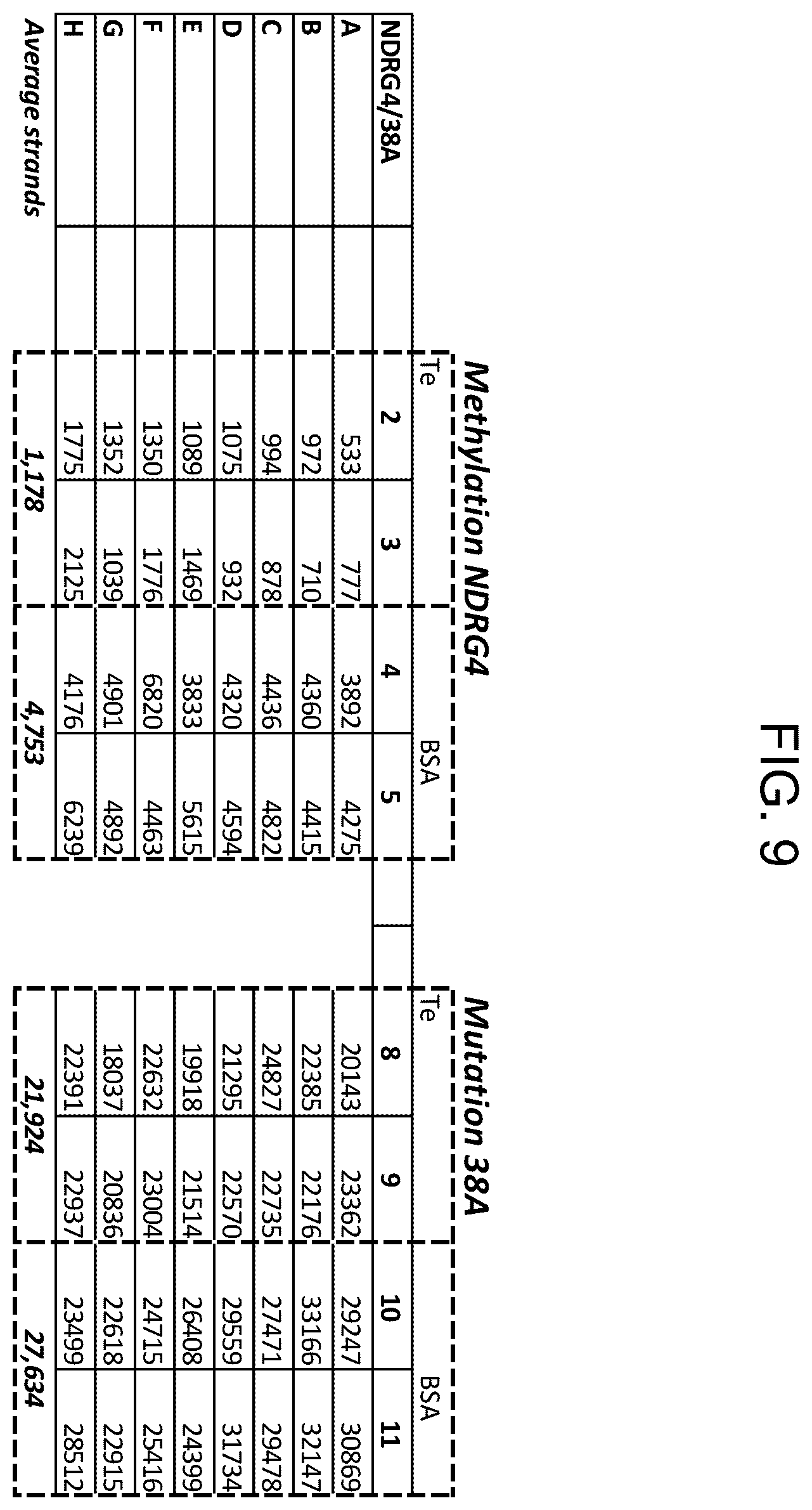 Patent US11814670 Figure 9 – Modification of DNA on magnetic beads