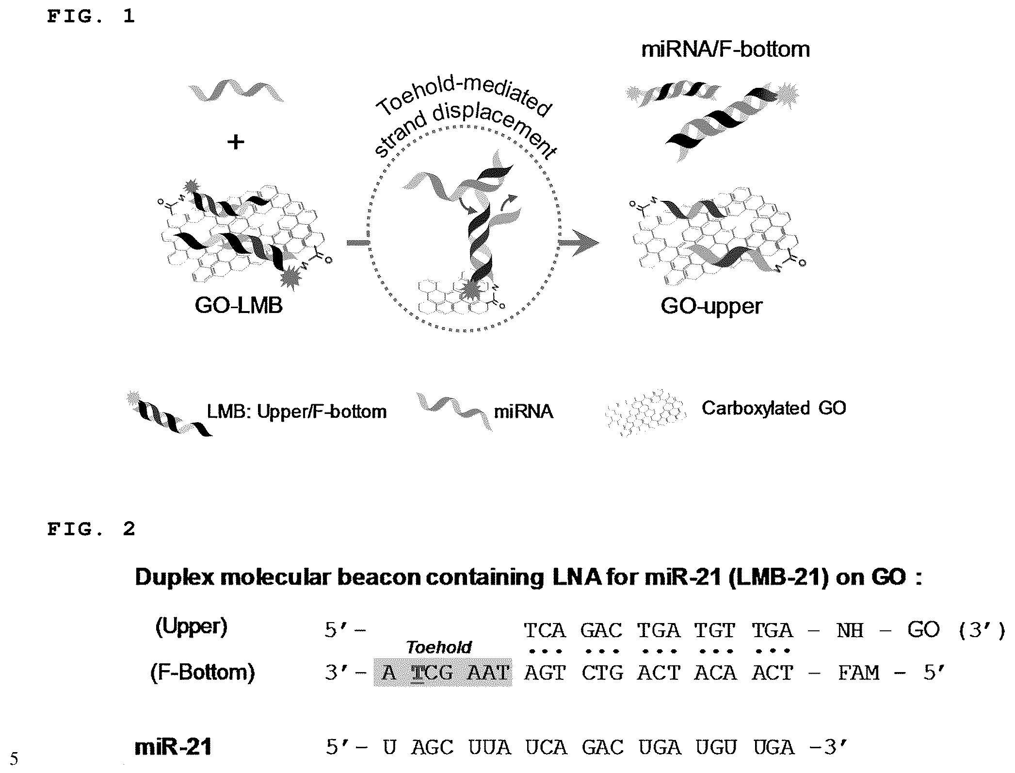 Patent US11814672 Figure 1 – Complex of LNA probe and graphene oxide and nucleic acid detection method using same