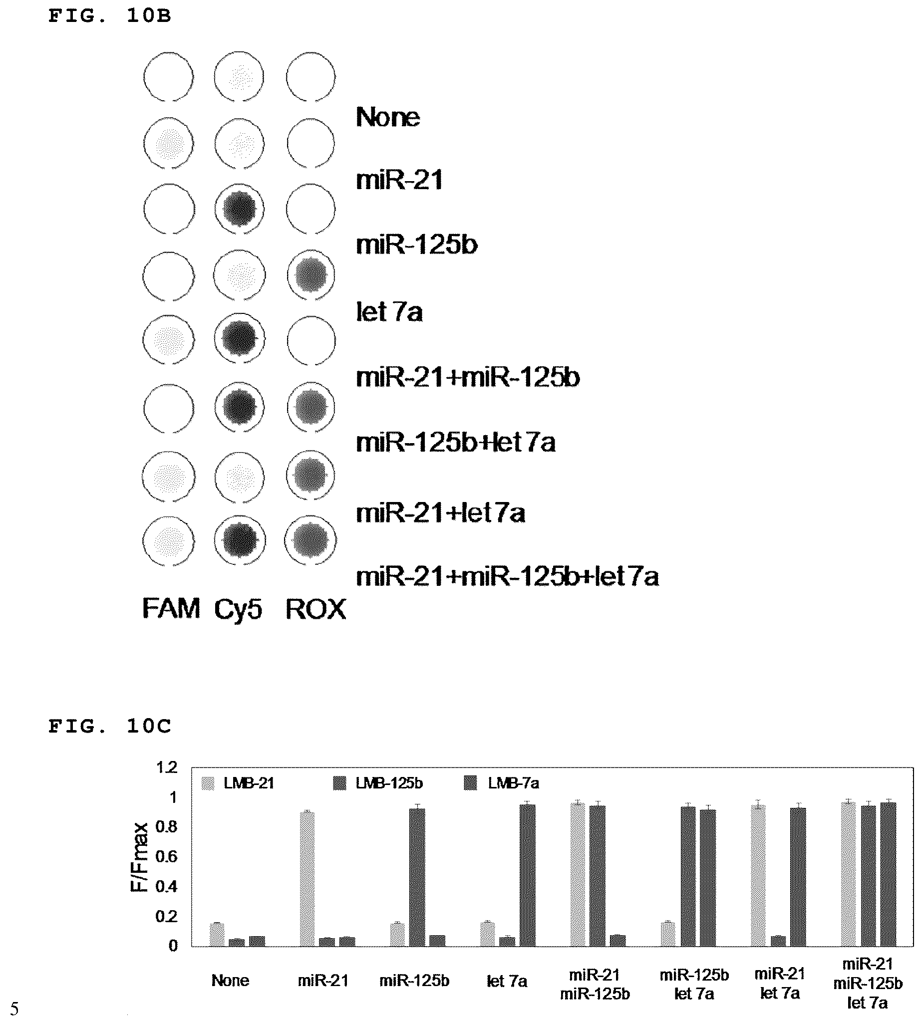 Patent US11814672 Figure 17 – Complex of LNA probe and graphene oxide and nucleic acid detection method using same