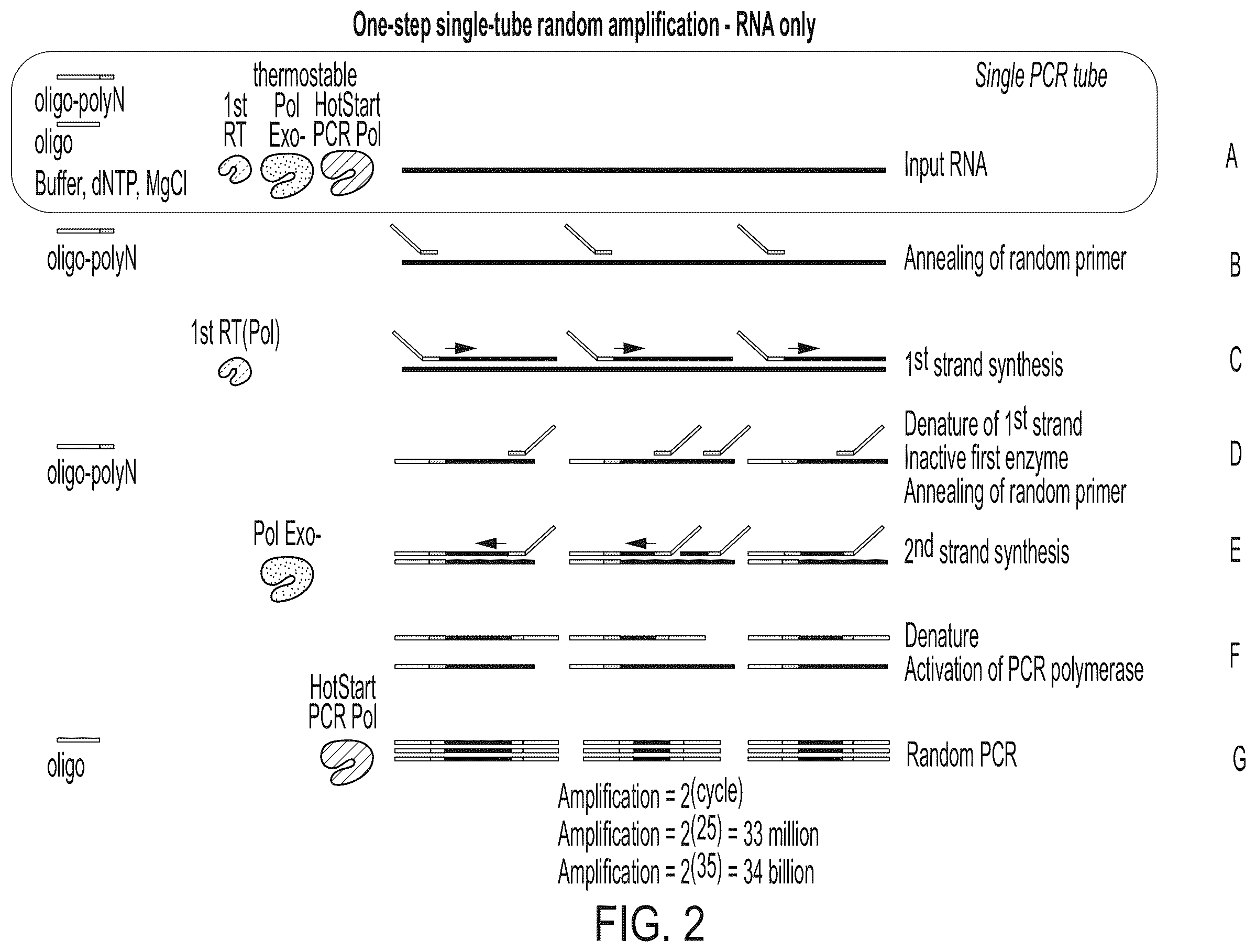 Patent US11814674 Figure 2 – Random amplification methods for extremely low input nucleic acids