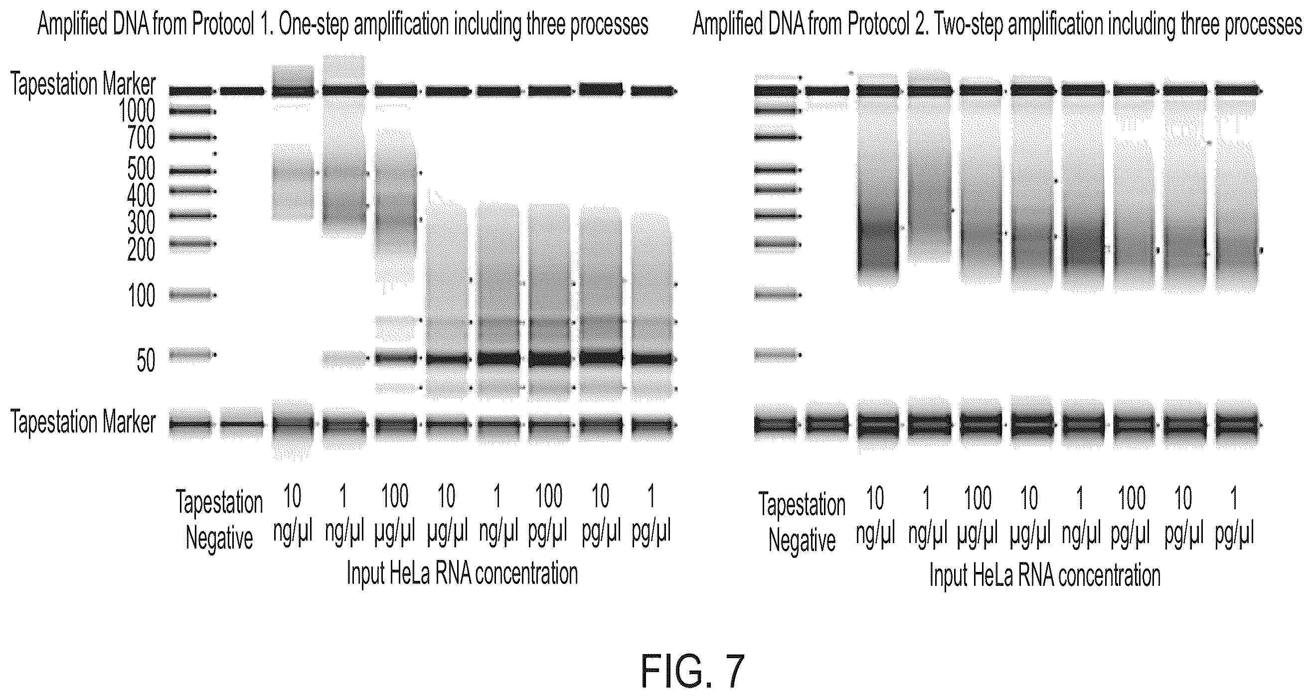 Patent US11814674 Figure 8 – Random amplification methods for extremely low input nucleic acids