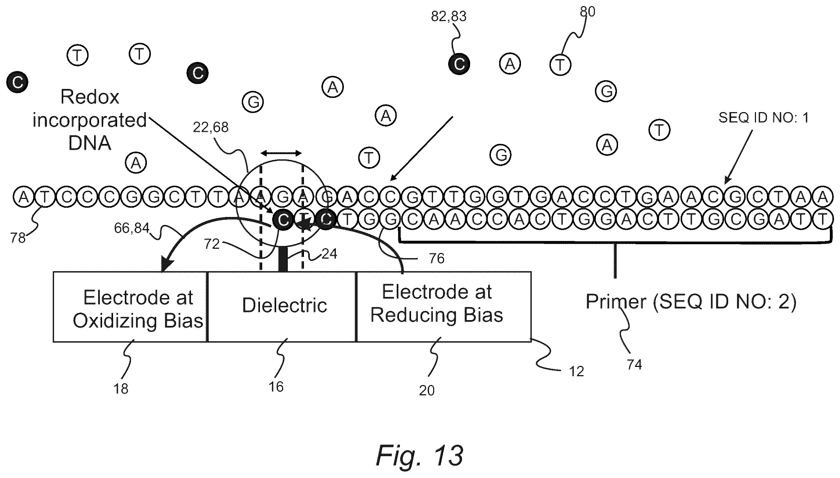 Patent US11814675 Figure 14 – Edge sequencing with an immobilized translocator
