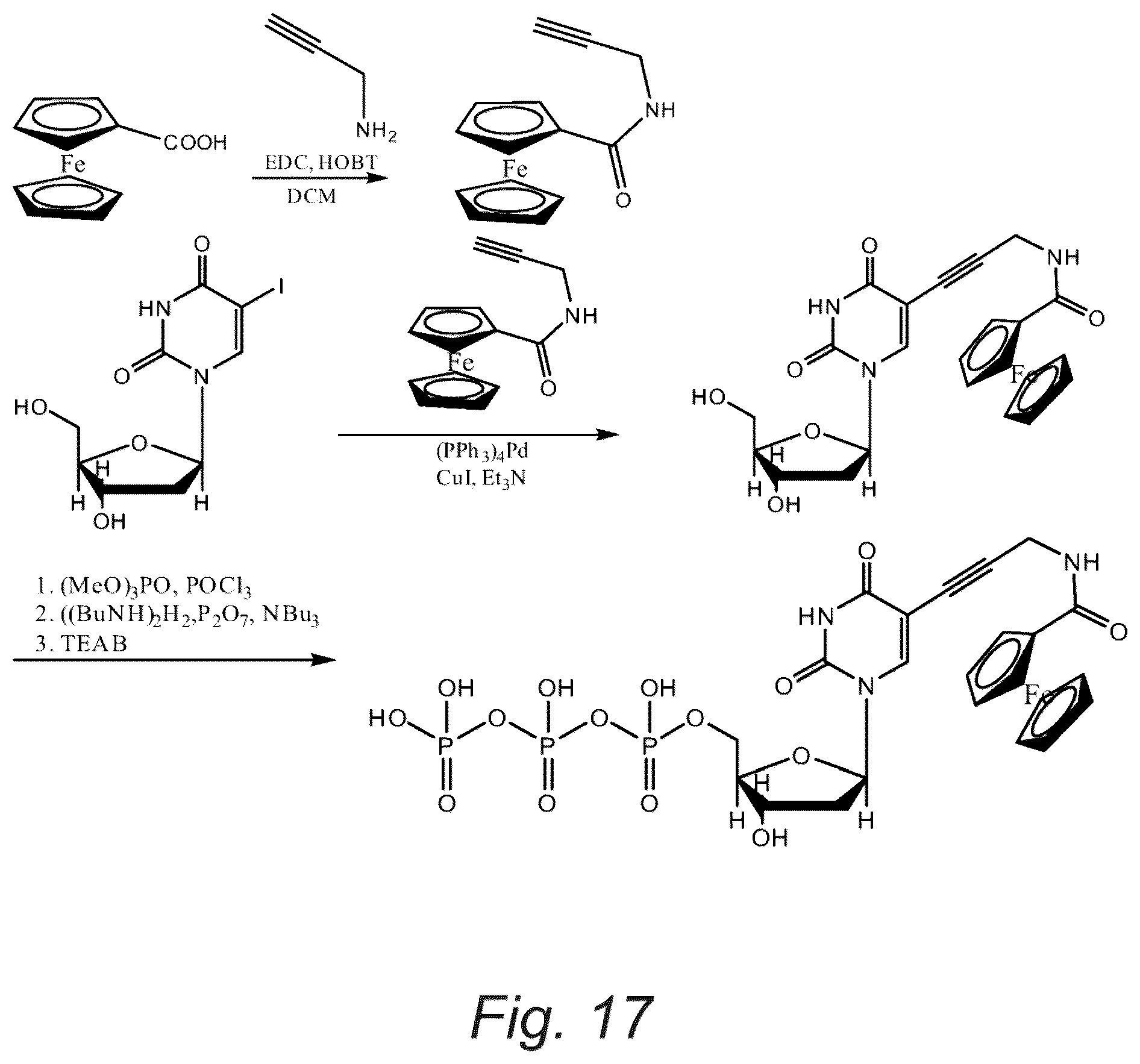 Patent US11814675 Figure 18 – Edge sequencing with an immobilized translocator