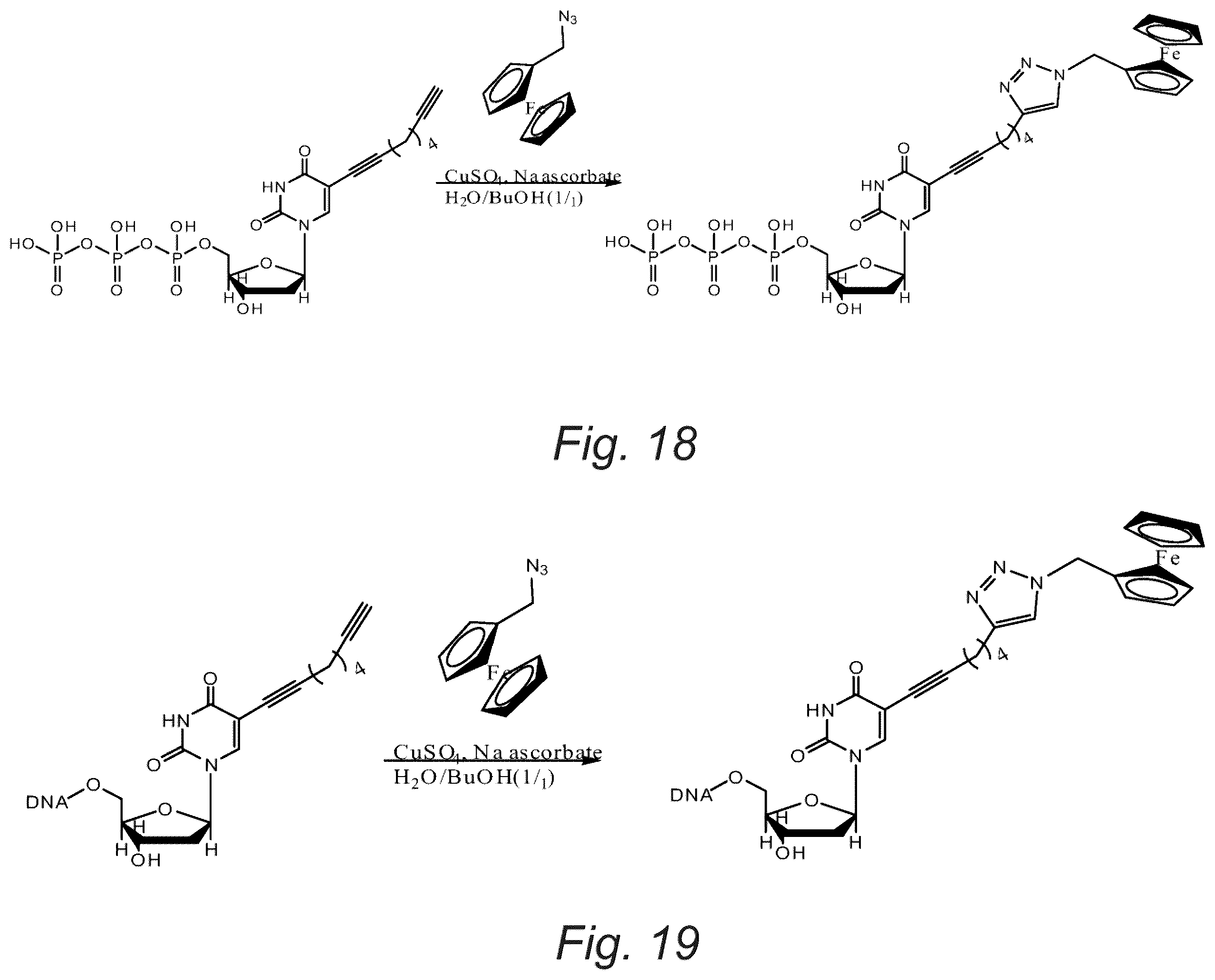Patent US11814675 Figure 19 – Edge sequencing with an immobilized translocator