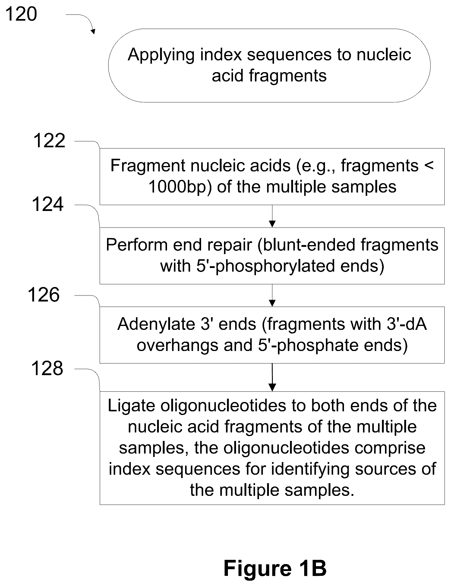 Patent US11814678 Figure 2 – Universal short adapters for indexing of polynucleotide samples