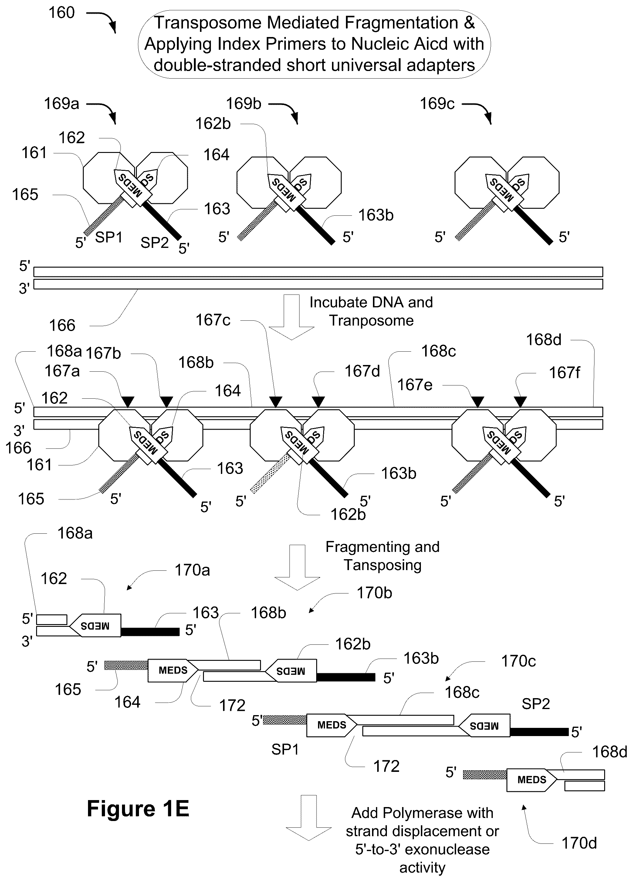 Patent US11814678 Figure 5 – Universal short adapters for indexing of polynucleotide samples
