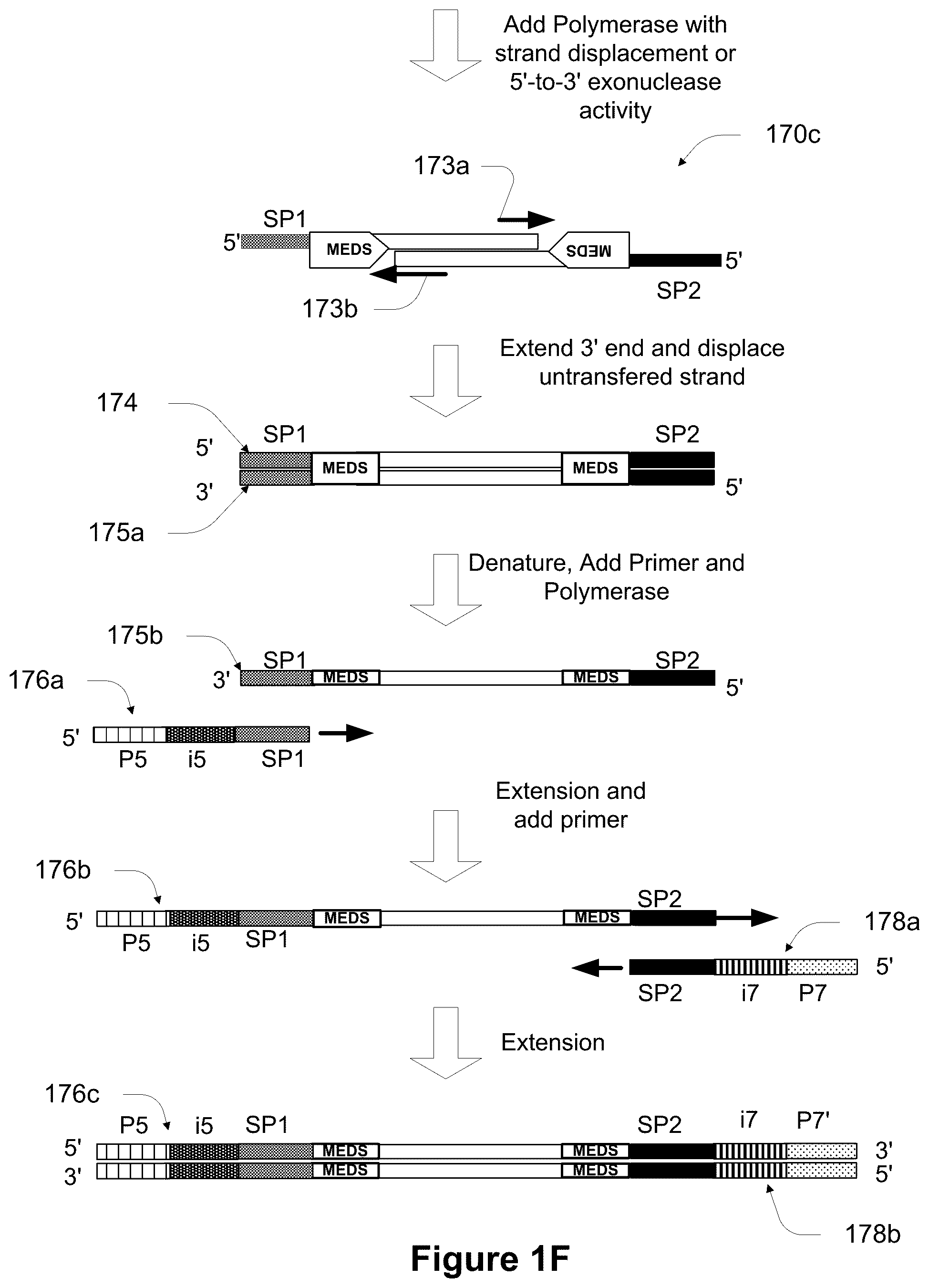 Patent US11814678 Figure 6 – Universal short adapters for indexing of polynucleotide samples