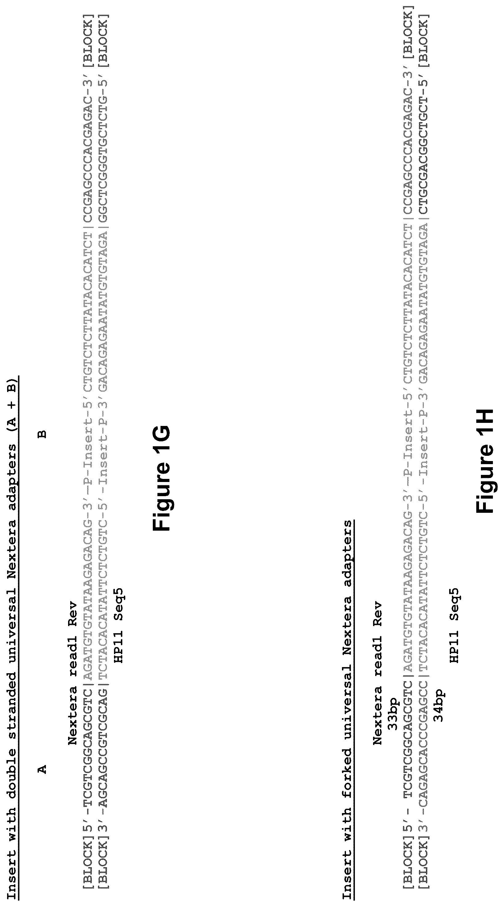 Patent US11814678 Figure 7 – Universal short adapters for indexing of polynucleotide samples