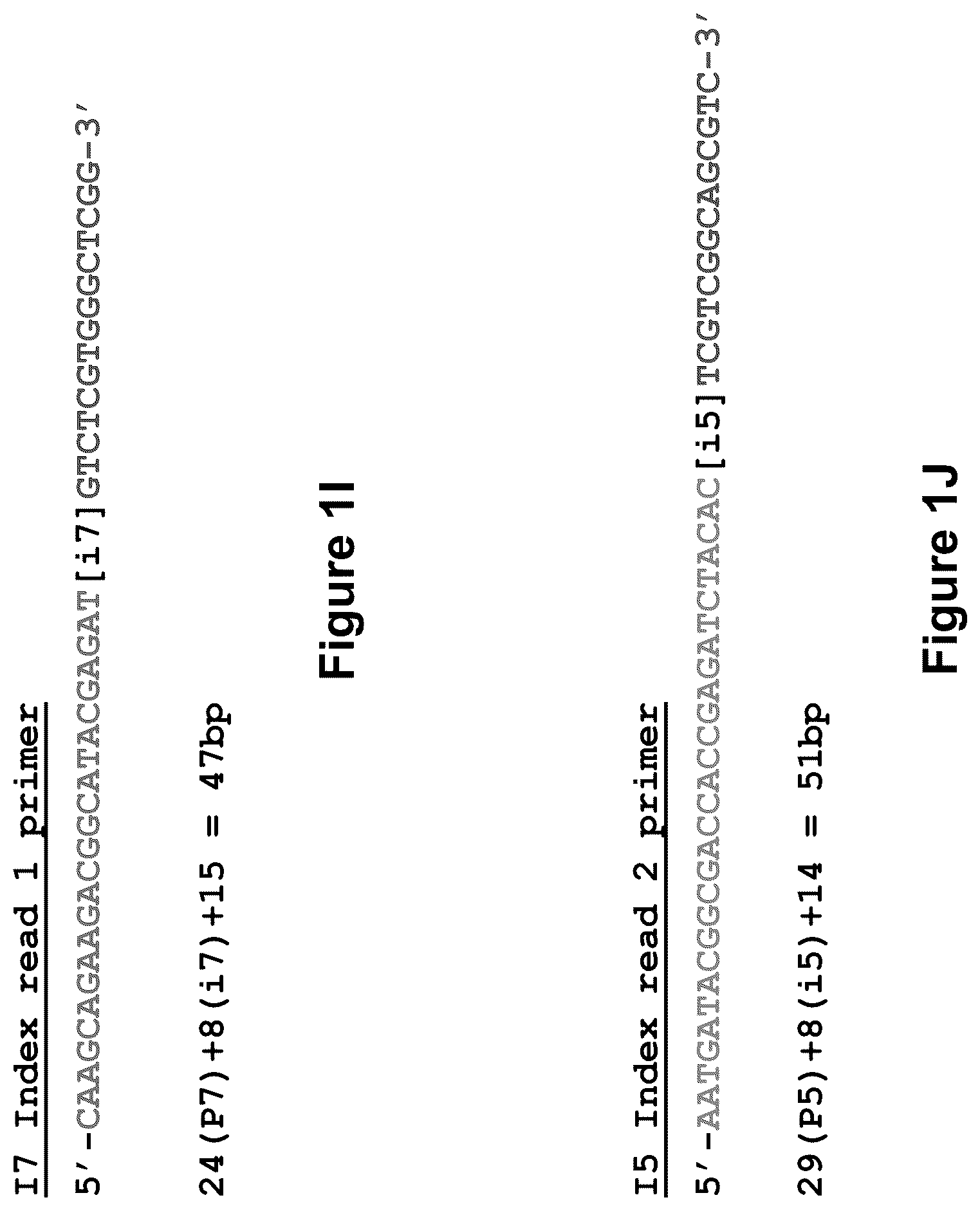 Patent US11814678 Figure 8 – Universal short adapters for indexing of polynucleotide samples