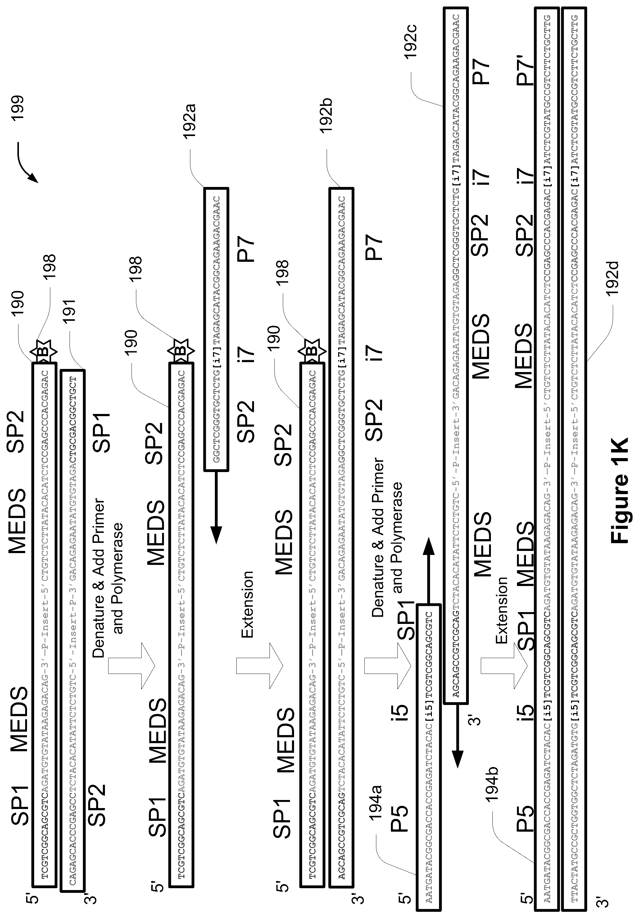 Patent US11814678 Figure 9 – Universal short adapters for indexing of polynucleotide samples