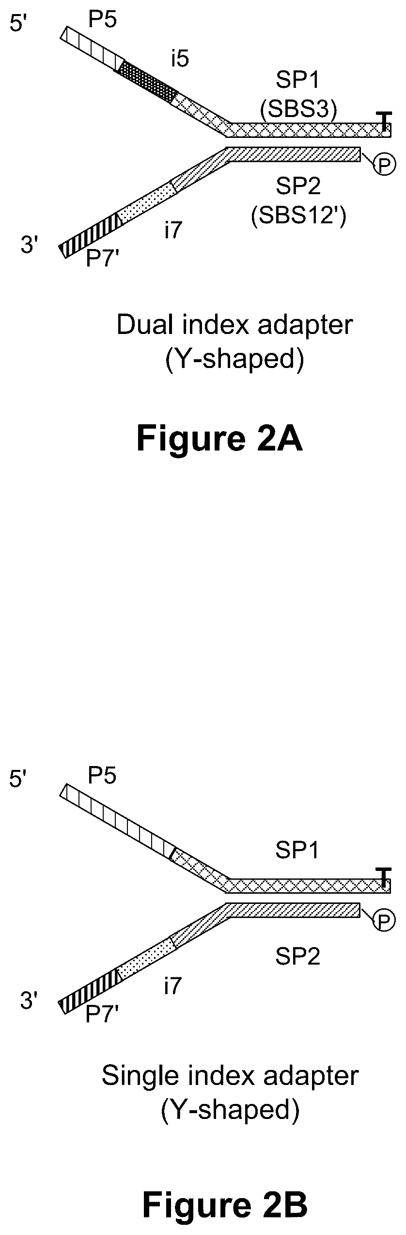 Patent US11814678 Figure 10 – Universal short adapters for indexing of polynucleotide samples