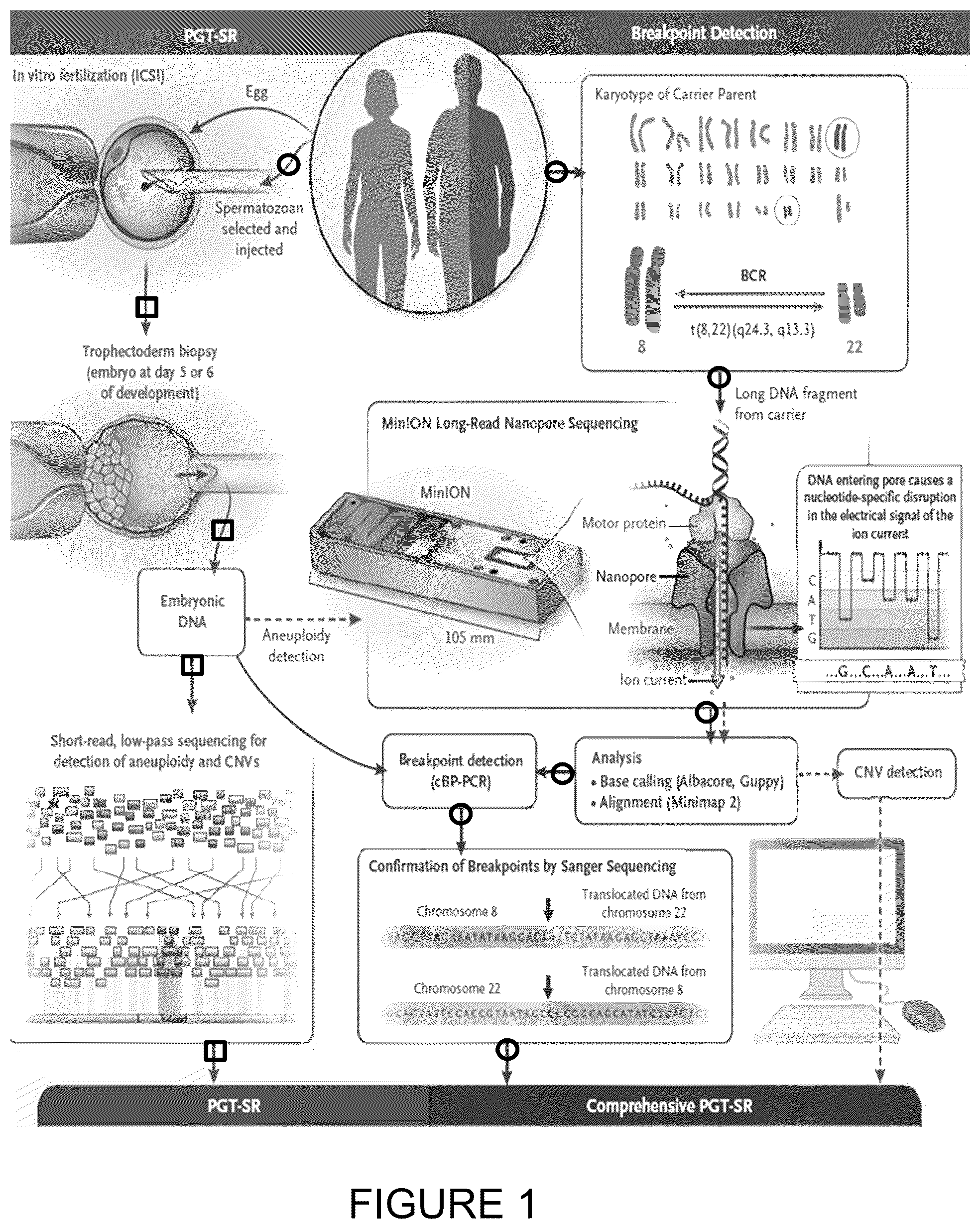 Patent US11814682 Figure 1 – Method for preimplantation genetic screening of embryos for detection of structural rearrangements