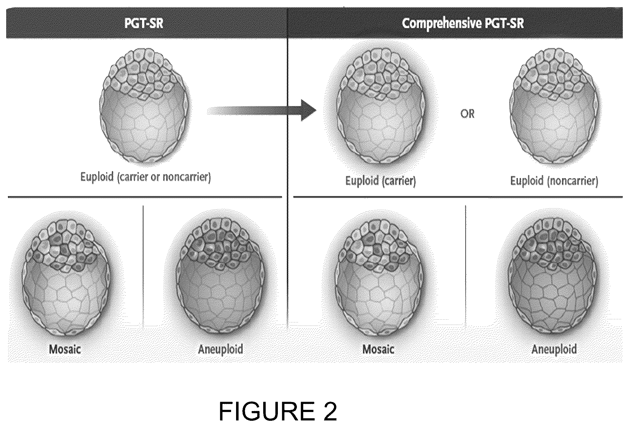 Patent US11814682 Figure 2 – Method for preimplantation genetic screening of embryos for detection of structural rearrangements