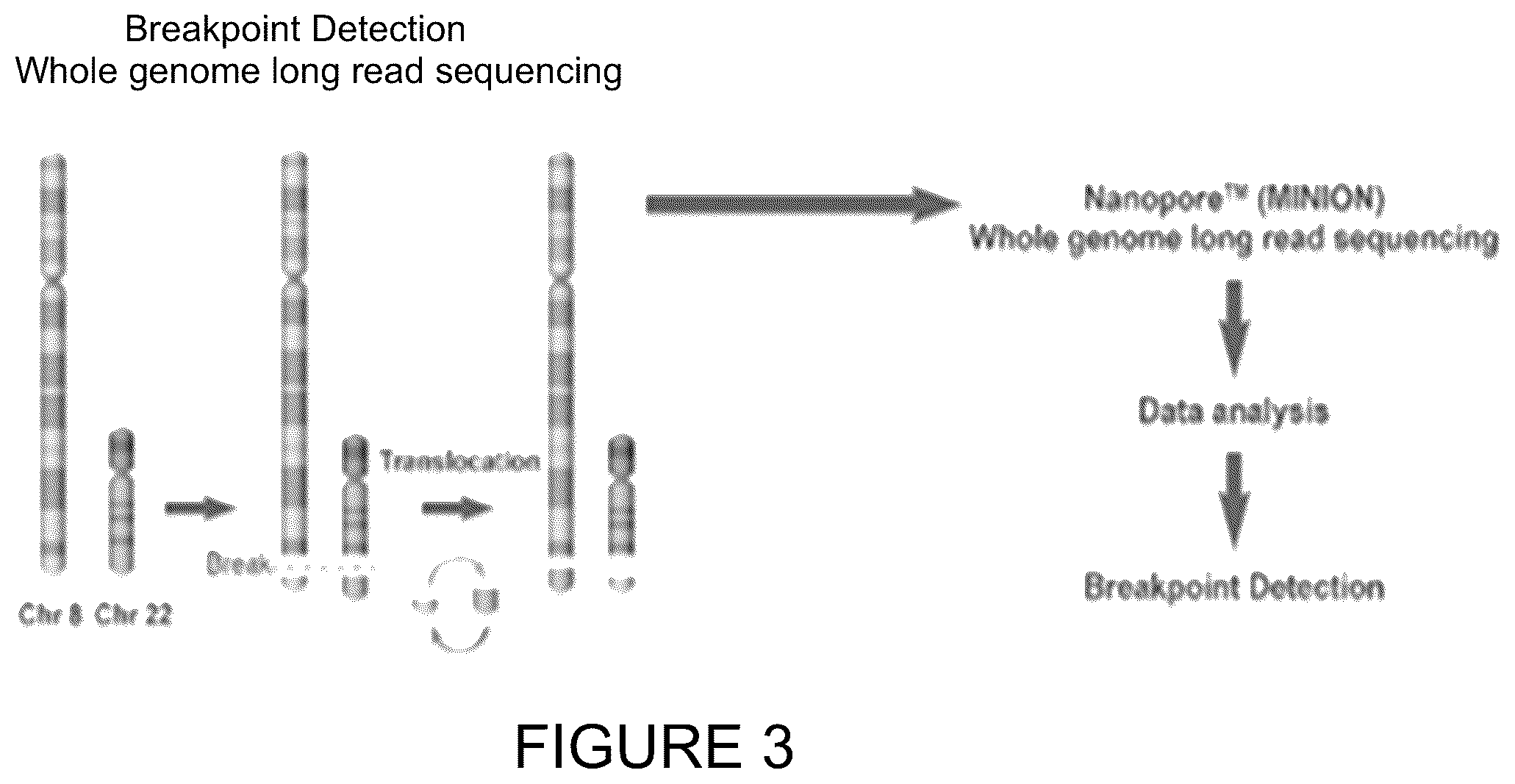 Patent US11814682 Figure 3 – Method for preimplantation genetic screening of embryos for detection of structural rearrangements