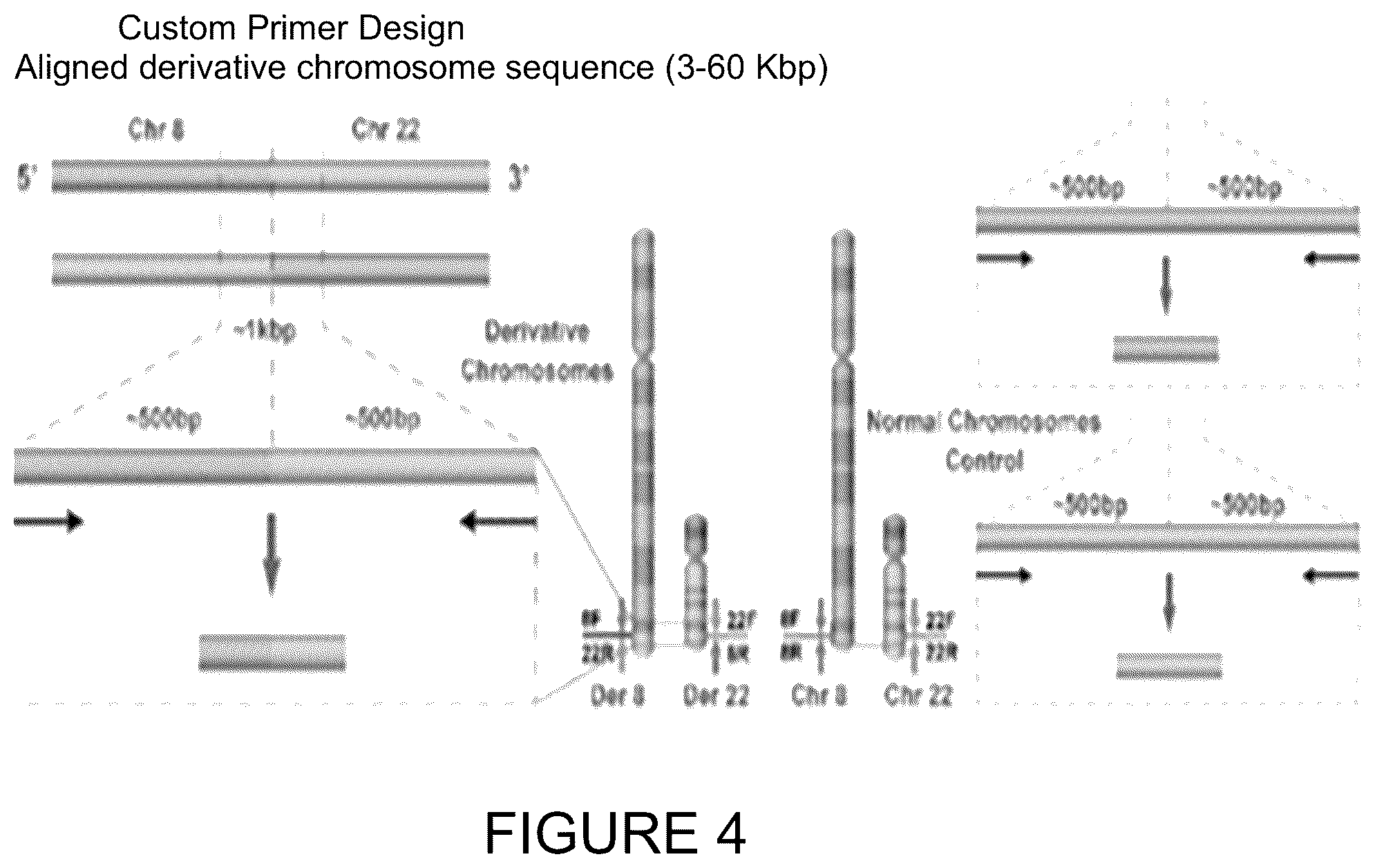 Patent US11814682 Figure 4 – Method for preimplantation genetic screening of embryos for detection of structural rearrangements