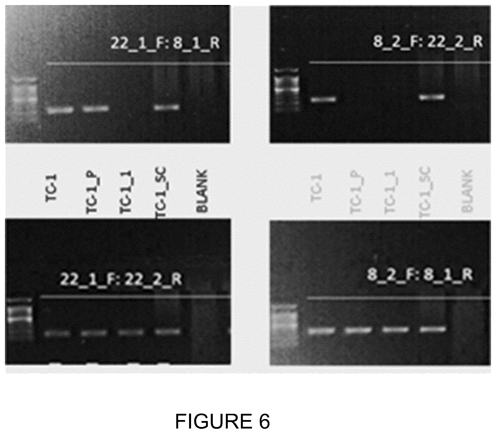Patent US11814682 Figure 6 – Method for preimplantation genetic screening of embryos for detection of structural rearrangements