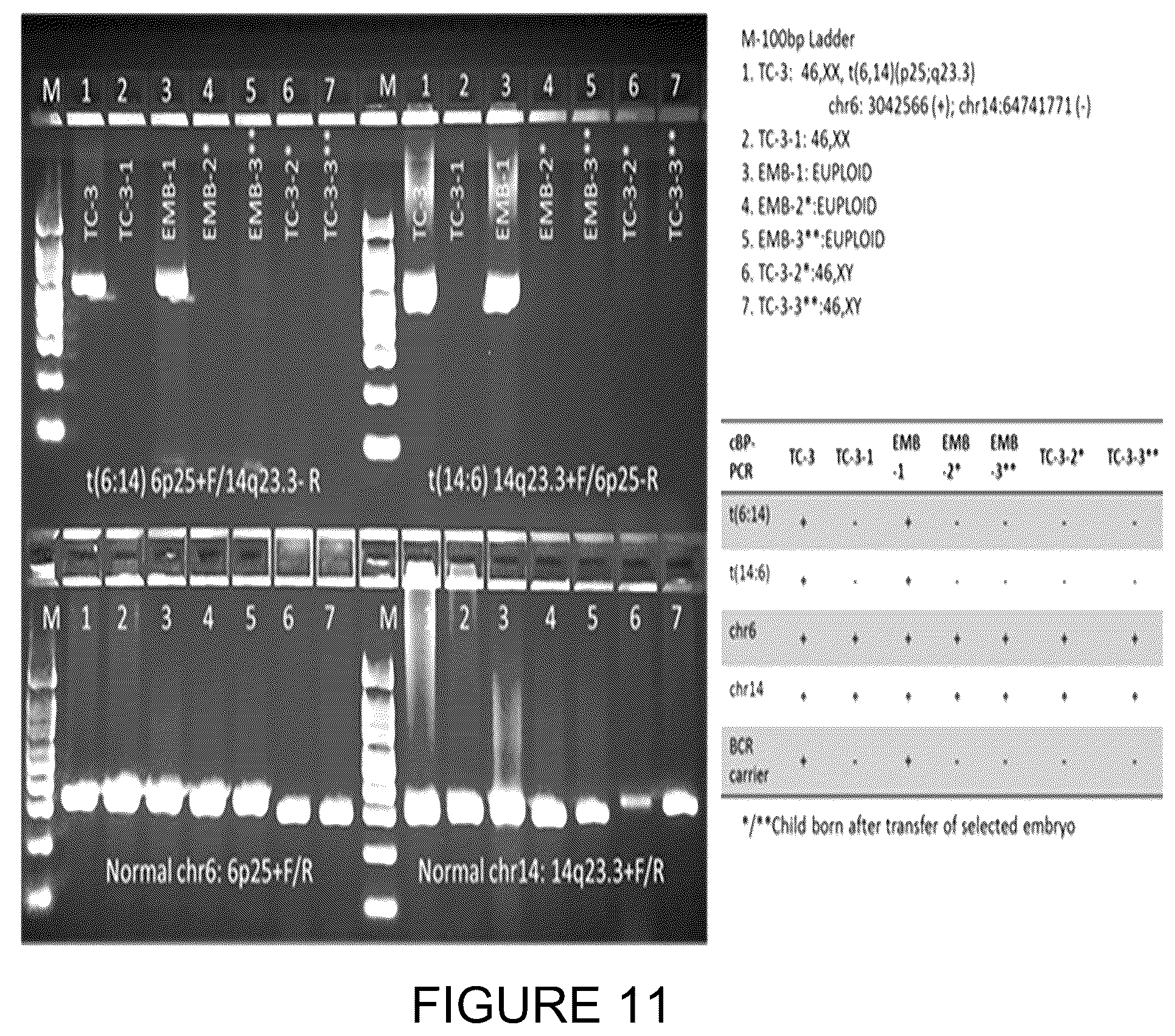 Patent US11814682 Figure 11 – Method for preimplantation genetic screening of embryos for detection of structural rearrangements