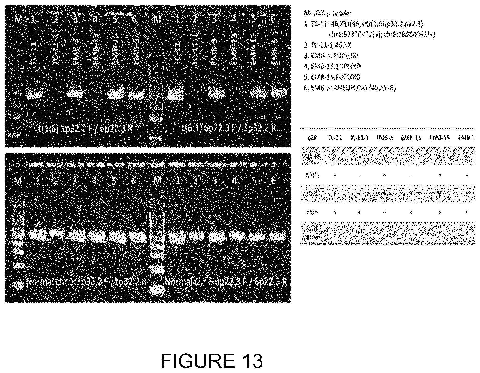 Patent US11814682 Figure 13 – Method for preimplantation genetic screening of embryos for detection of structural rearrangements