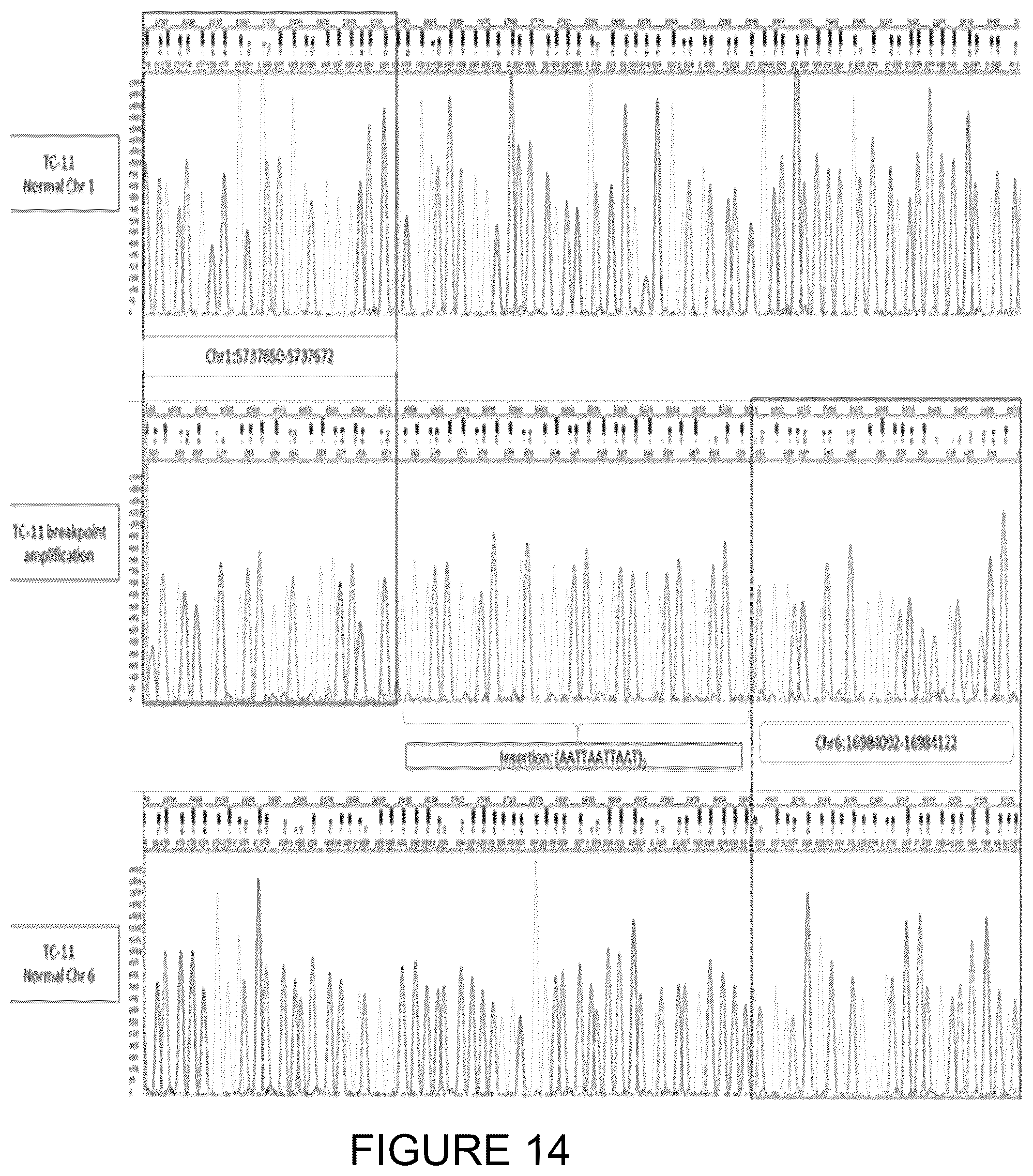 Patent US11814682 Figure 14 – Method for preimplantation genetic screening of embryos for detection of structural rearrangements