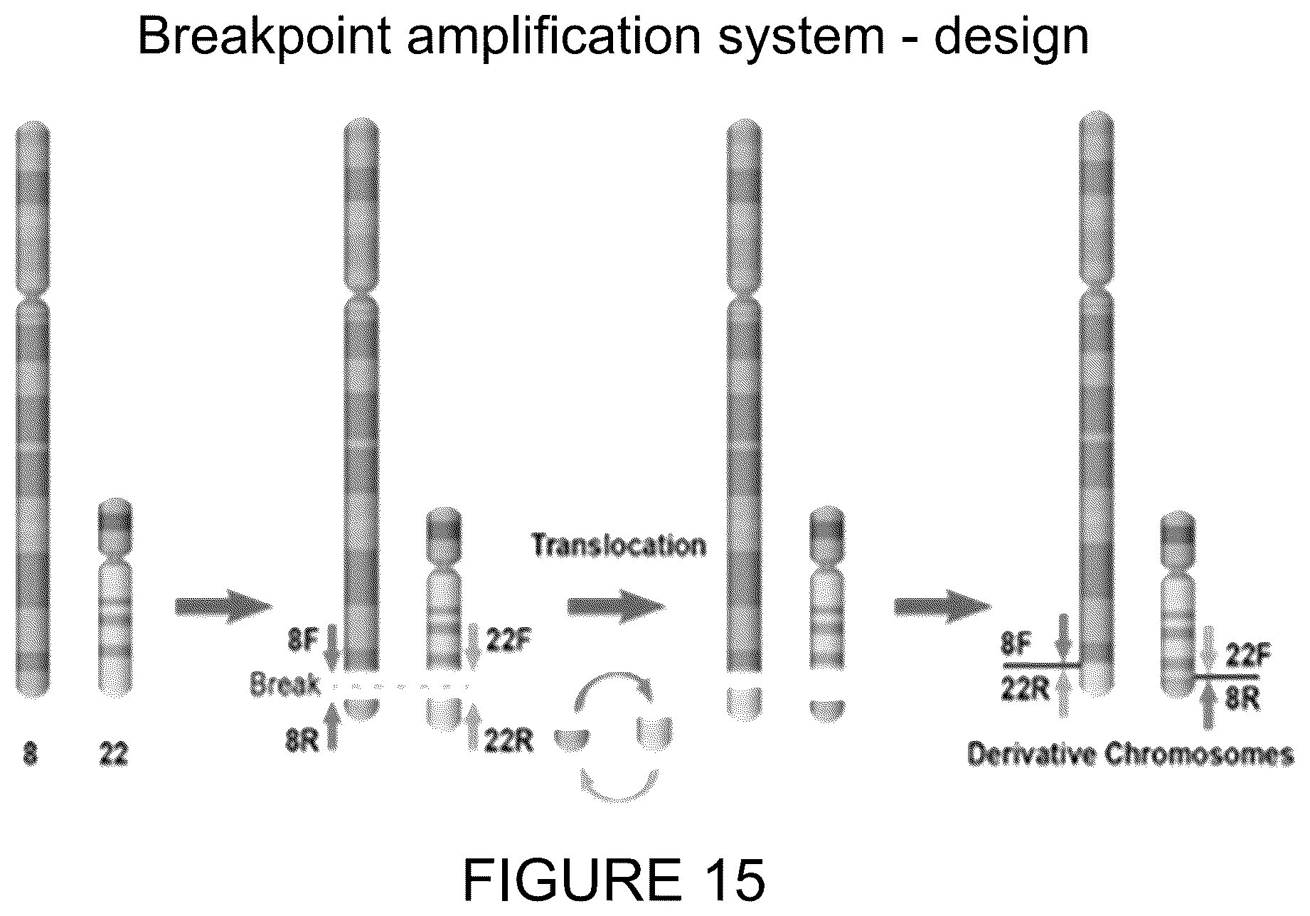 Patent US11814682 Figure 15 – Method for preimplantation genetic screening of embryos for detection of structural rearrangements