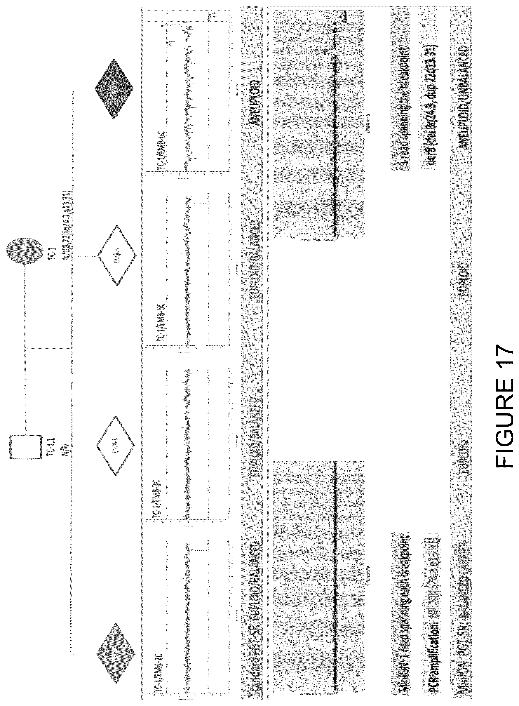 Patent US11814682 Figure 17 – Method for preimplantation genetic screening of embryos for detection of structural rearrangements