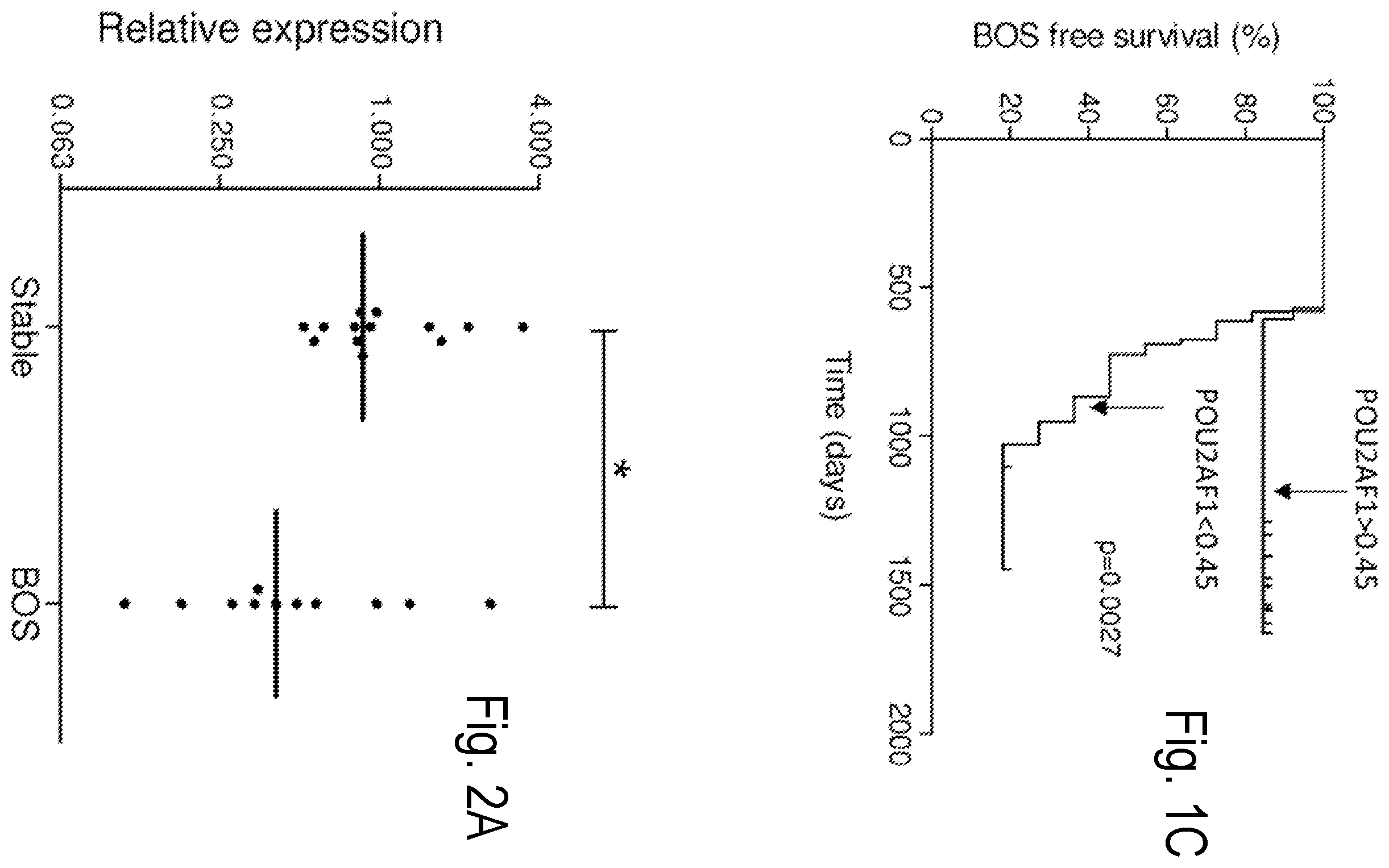 Patent US11814683 Figure 2 – Methods and compositions for predicting chronic lung allograft dysfunction