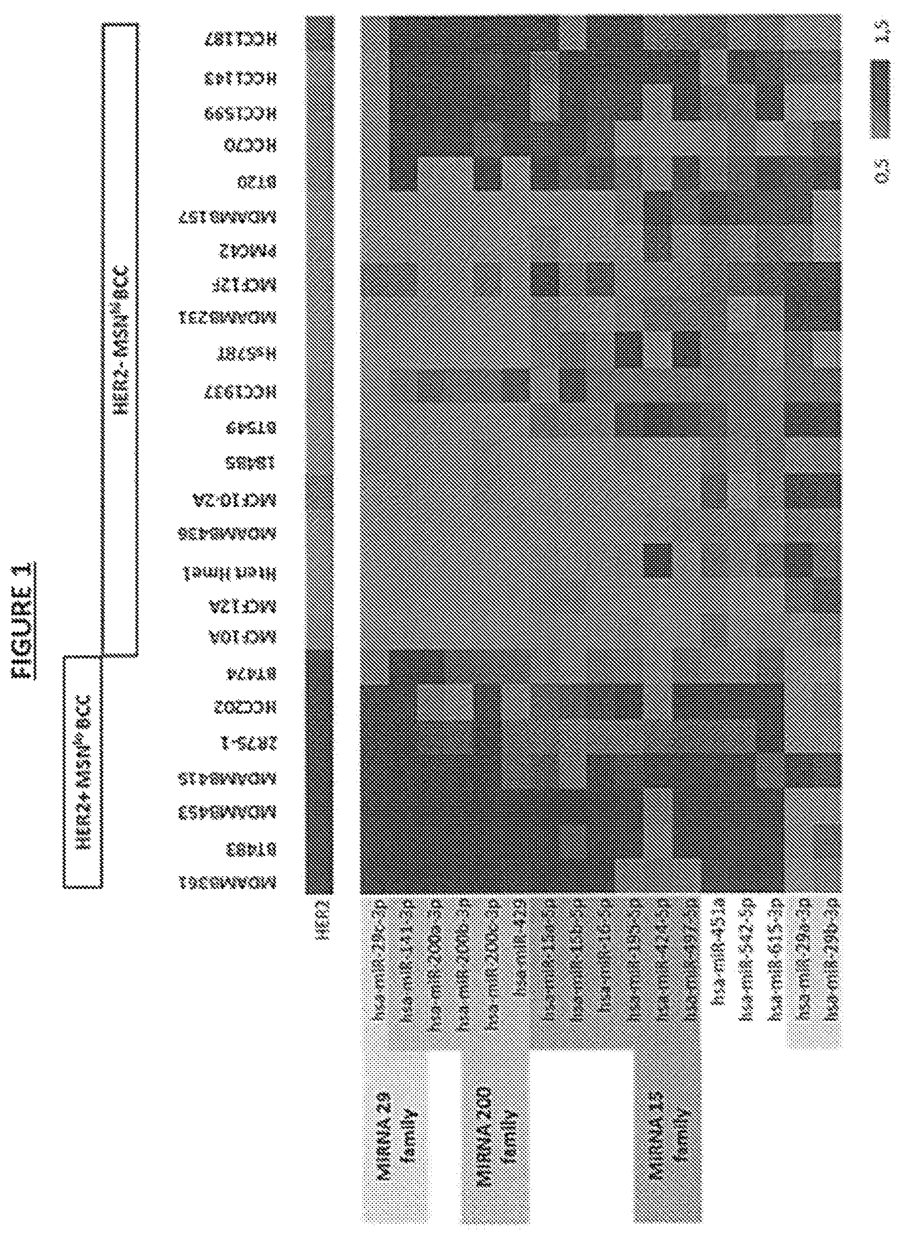 Patent US11814685 Figure 1 – Diagnosis and/or prognosis of HER2-dependent cancer using one or more miRNA as a biomarker