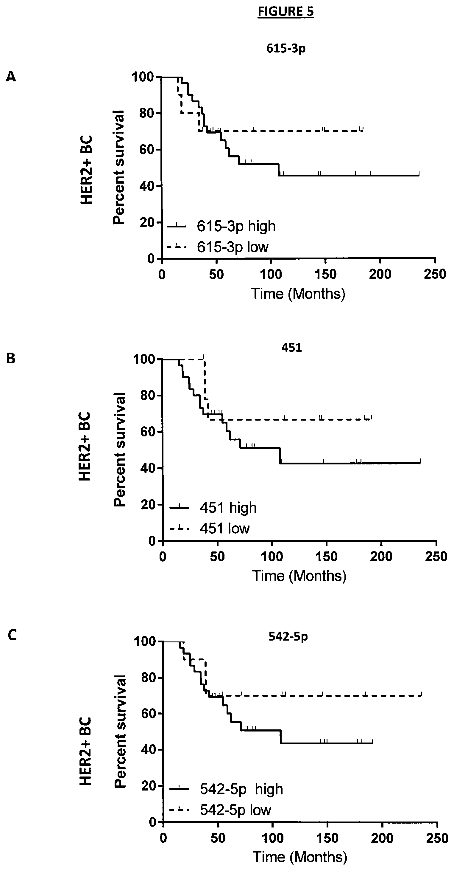 Patent US11814685 Figure 12 – Diagnosis and/or prognosis of HER2-dependent cancer using one or more miRNA as a biomarker