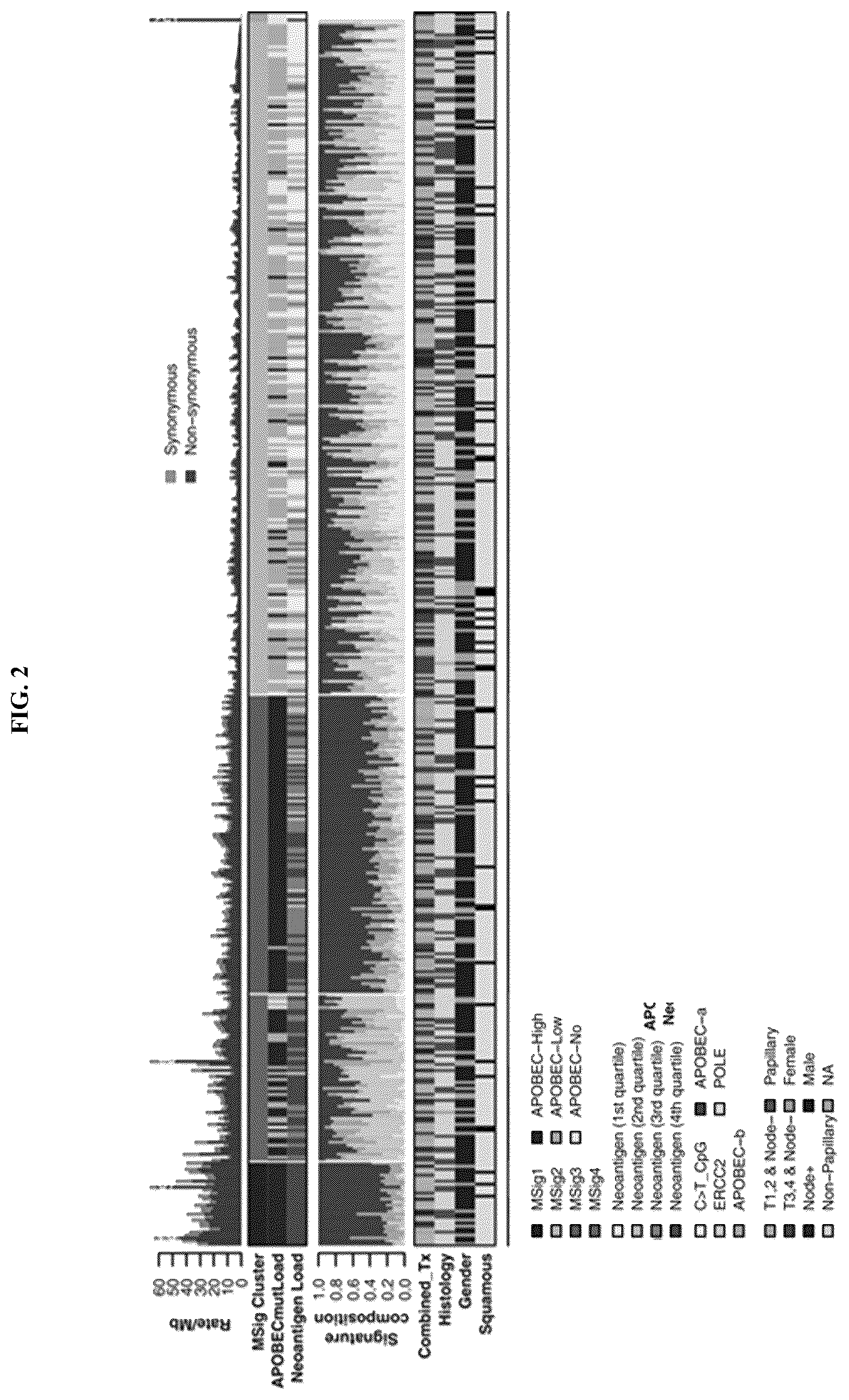 Patent US11814687 Figure 5 – Methods for characterizing bladder cancer