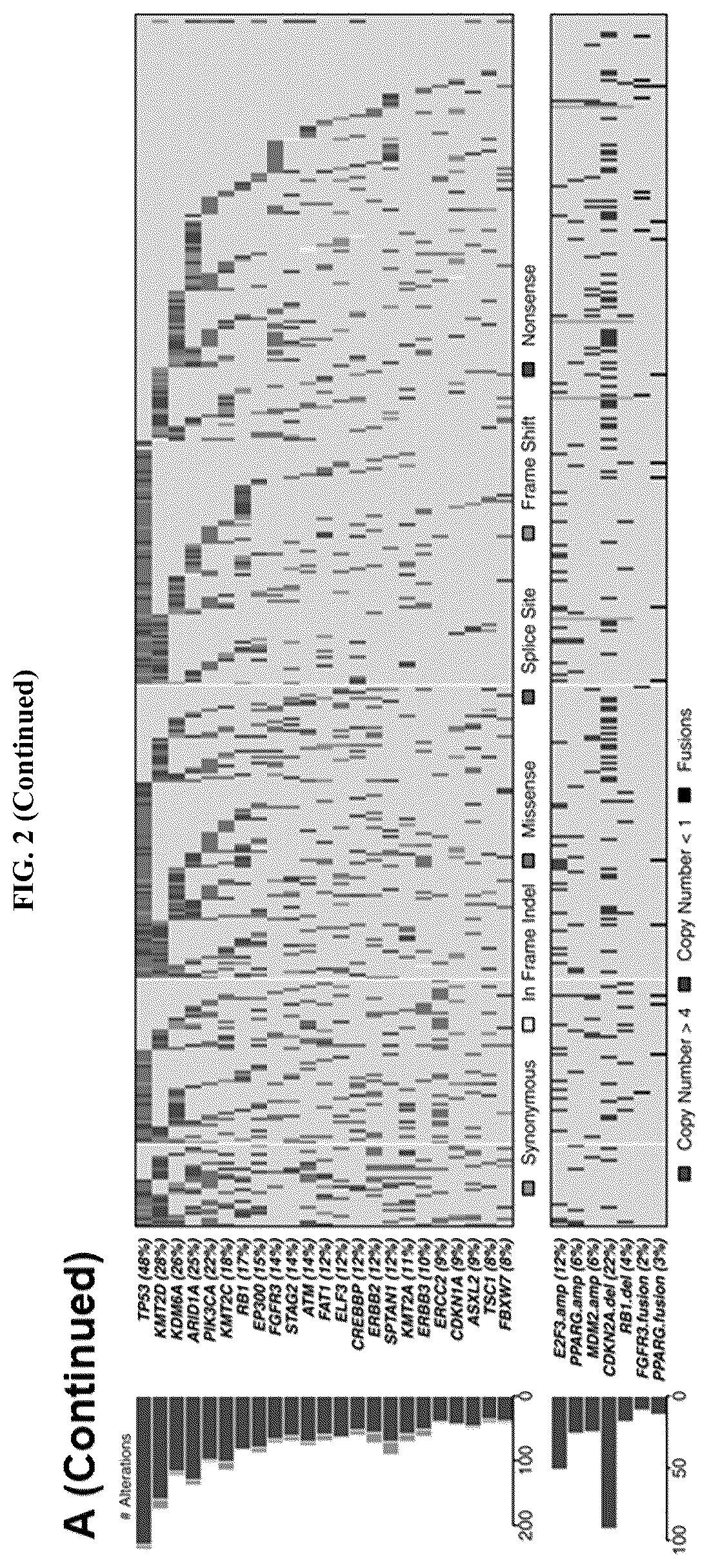 Patent US11814687 Figure 6 – Methods for characterizing bladder cancer