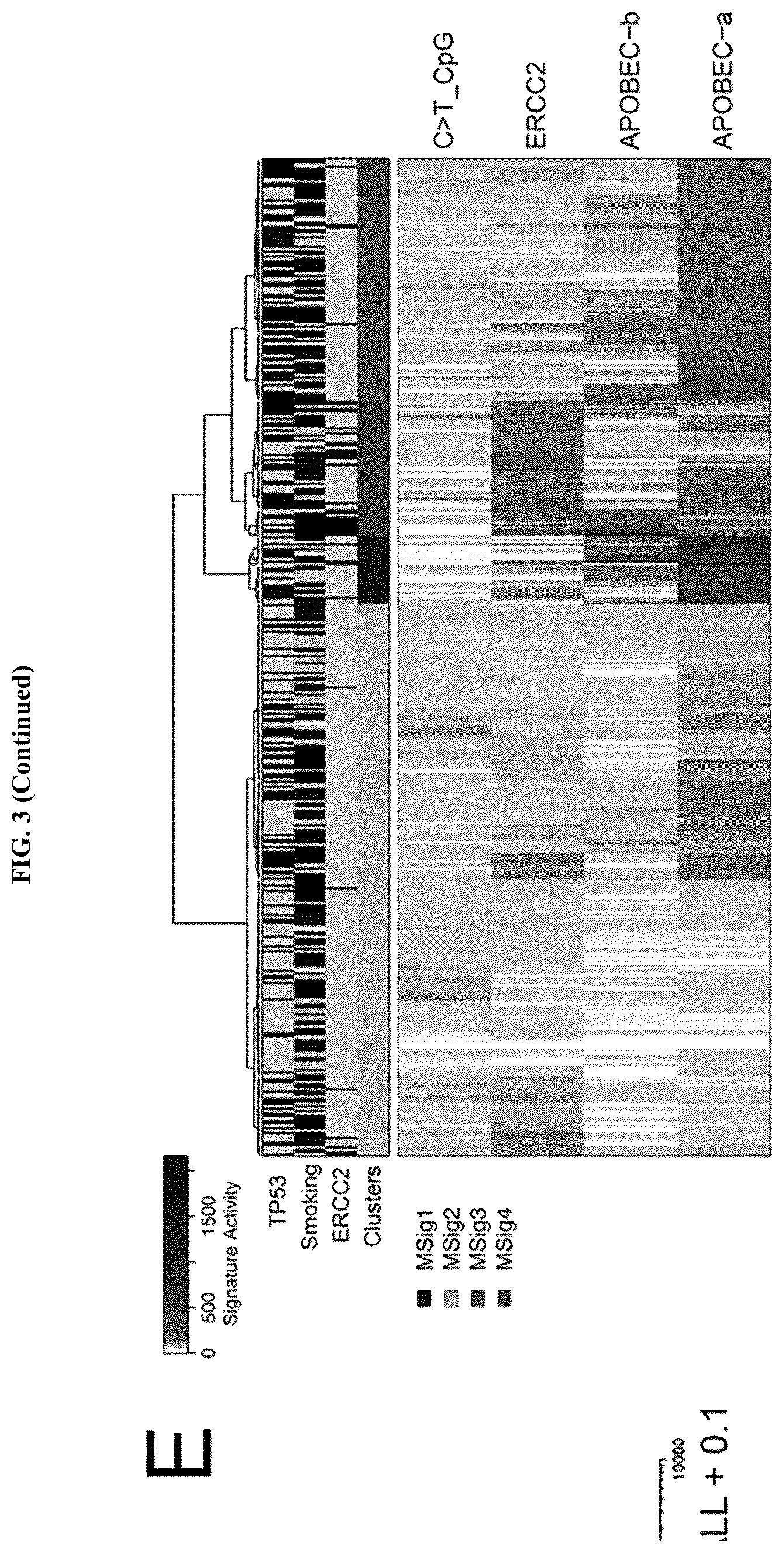Patent US11814687 Figure 14 – Methods for characterizing bladder cancer