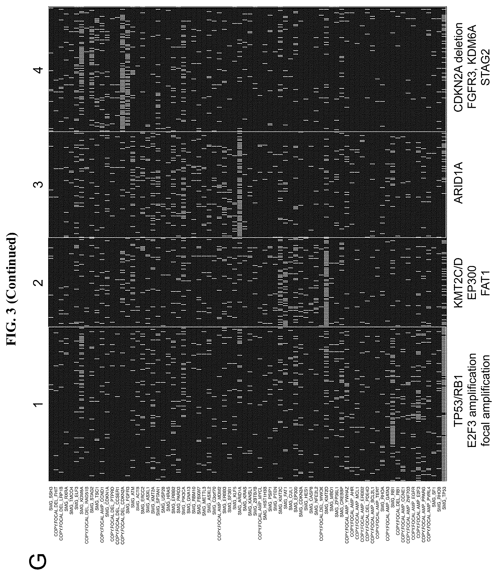Patent US11814687 Figure 17 – Methods for characterizing bladder cancer