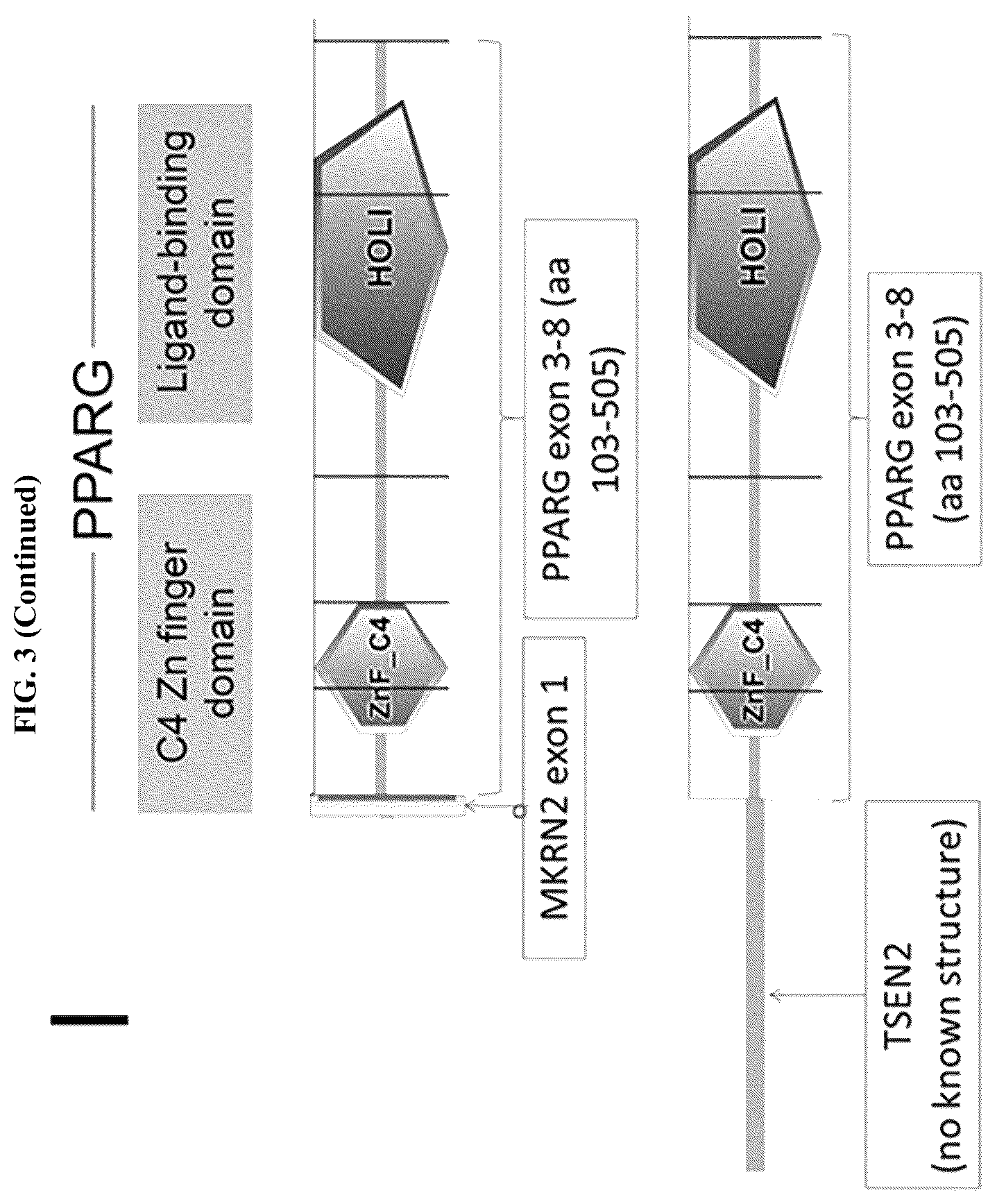 Patent US11814687 Figure 19 – Methods for characterizing bladder cancer