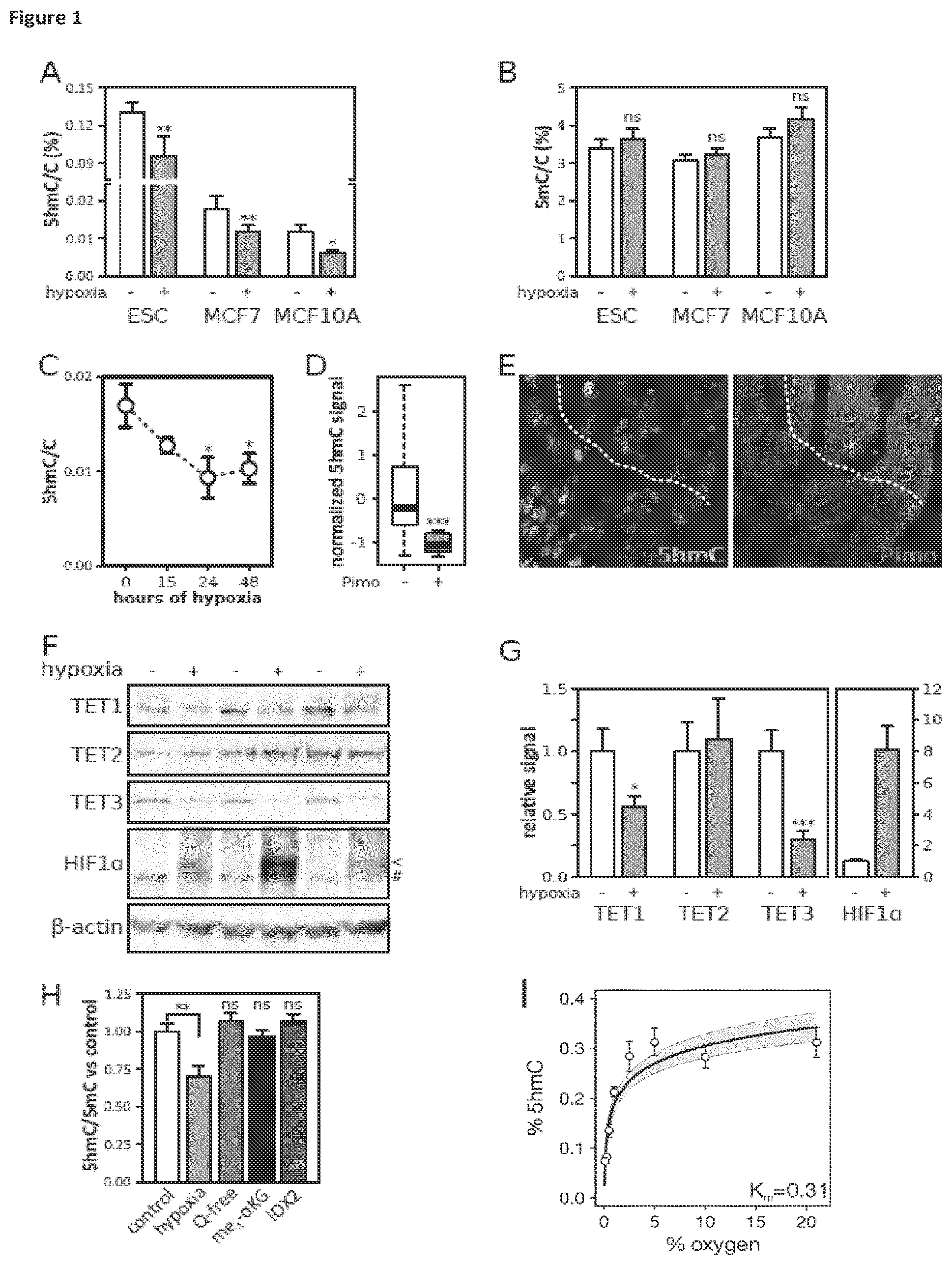 Patent US11814688 Figure 1 – Markers for determining tumor hypoxia