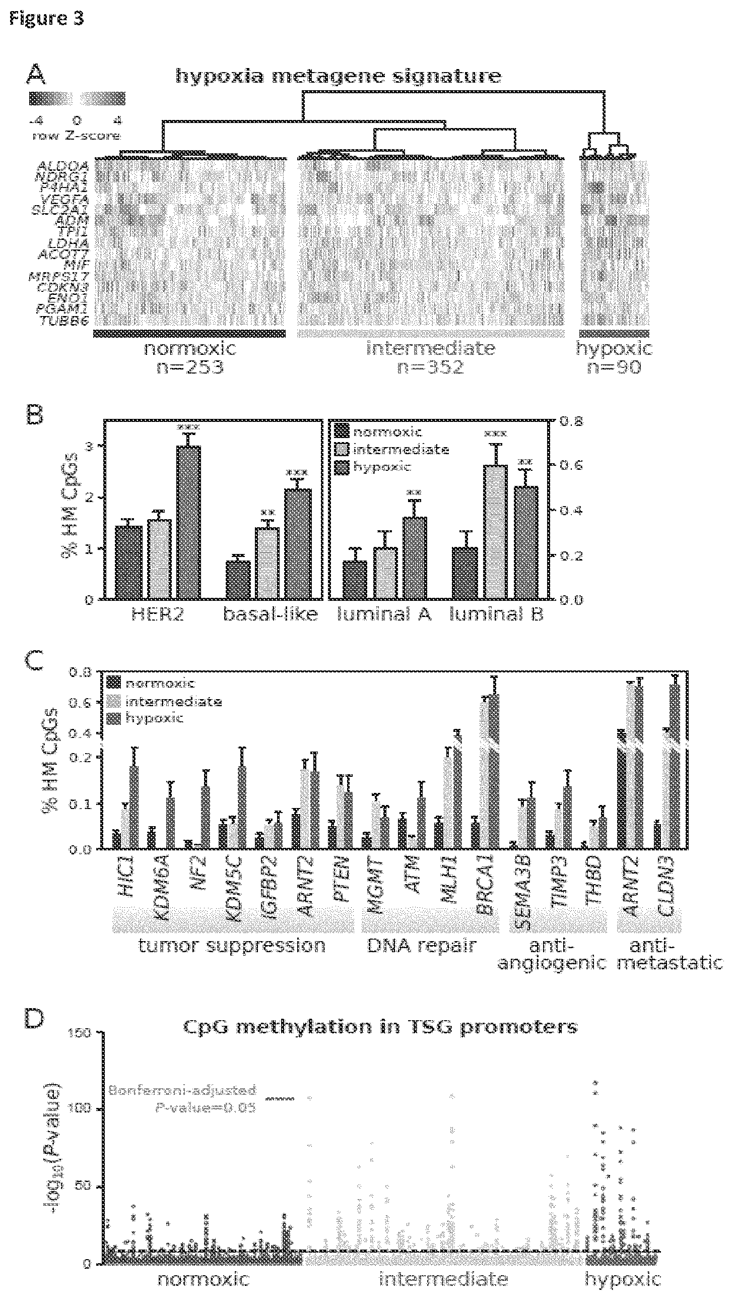Patent US11814688 Figure 3 – Markers for determining tumor hypoxia