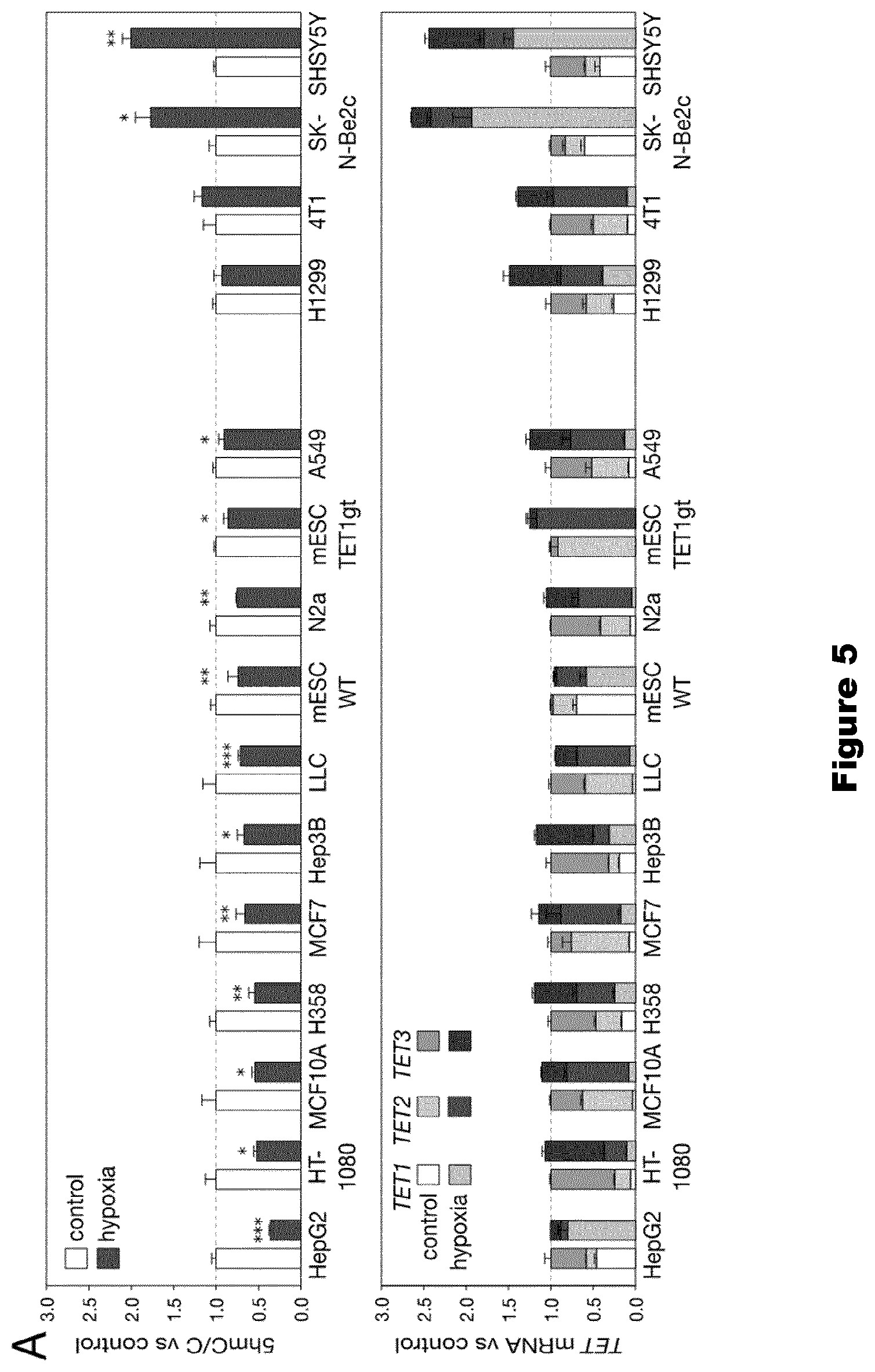 Patent US11814688 Figure 6 – Markers for determining tumor hypoxia