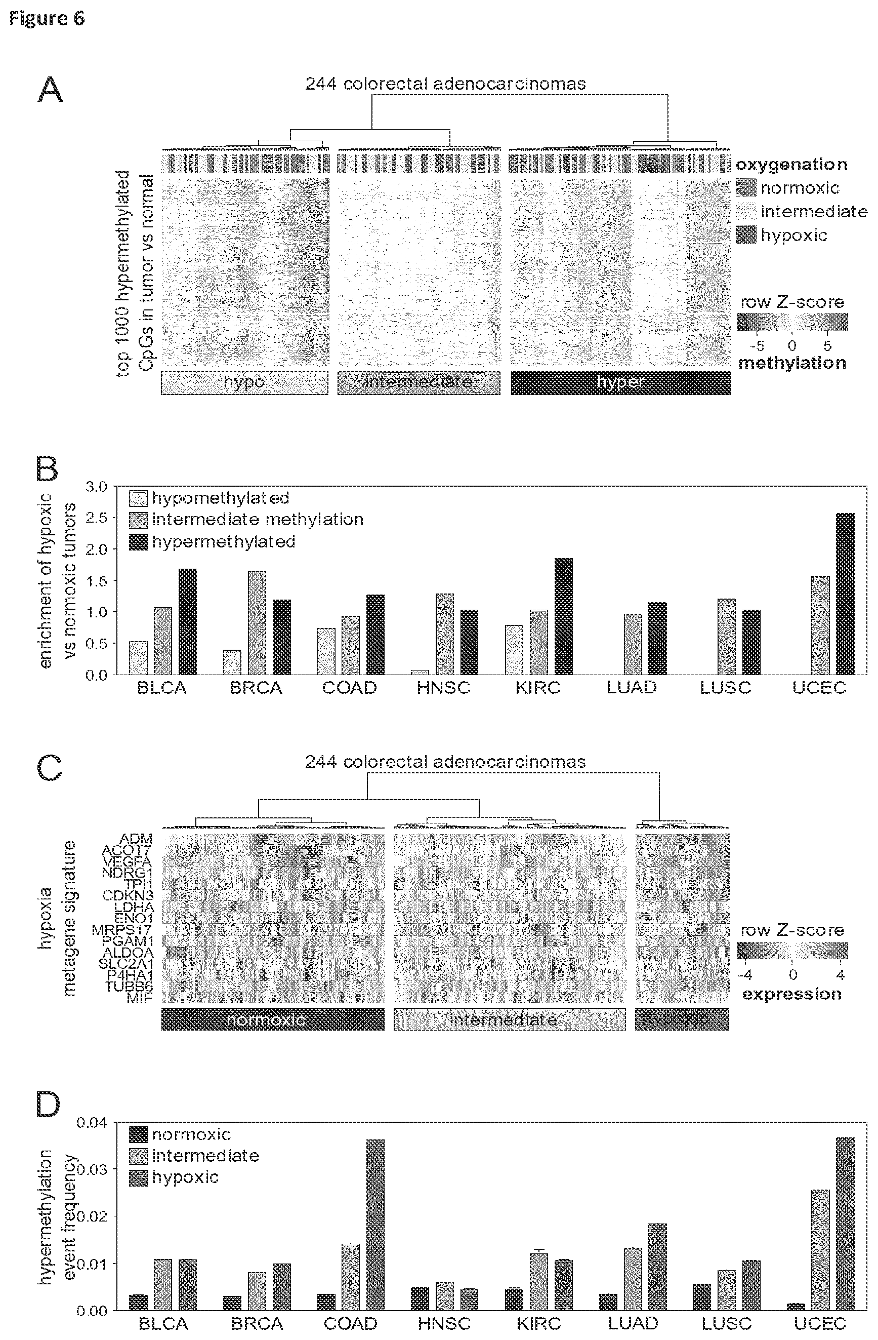 Patent US11814688 Figure 7 – Markers for determining tumor hypoxia