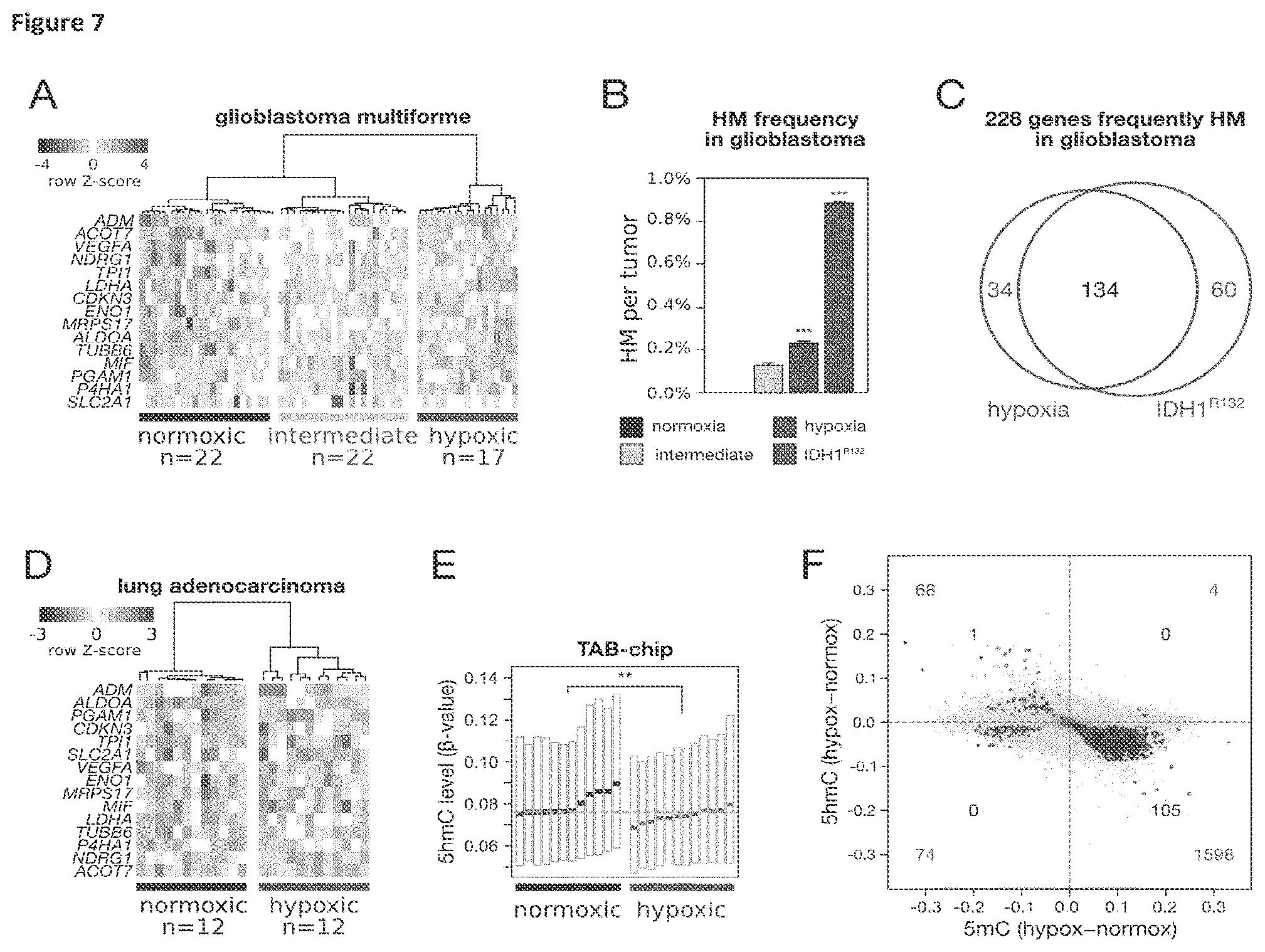 Patent US11814688 Figure 8 – Markers for determining tumor hypoxia