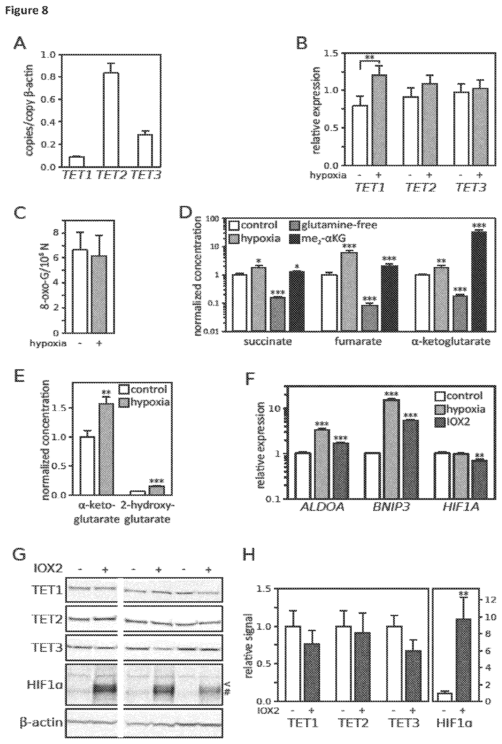 Patent US11814688 Figure 9 – Markers for determining tumor hypoxia