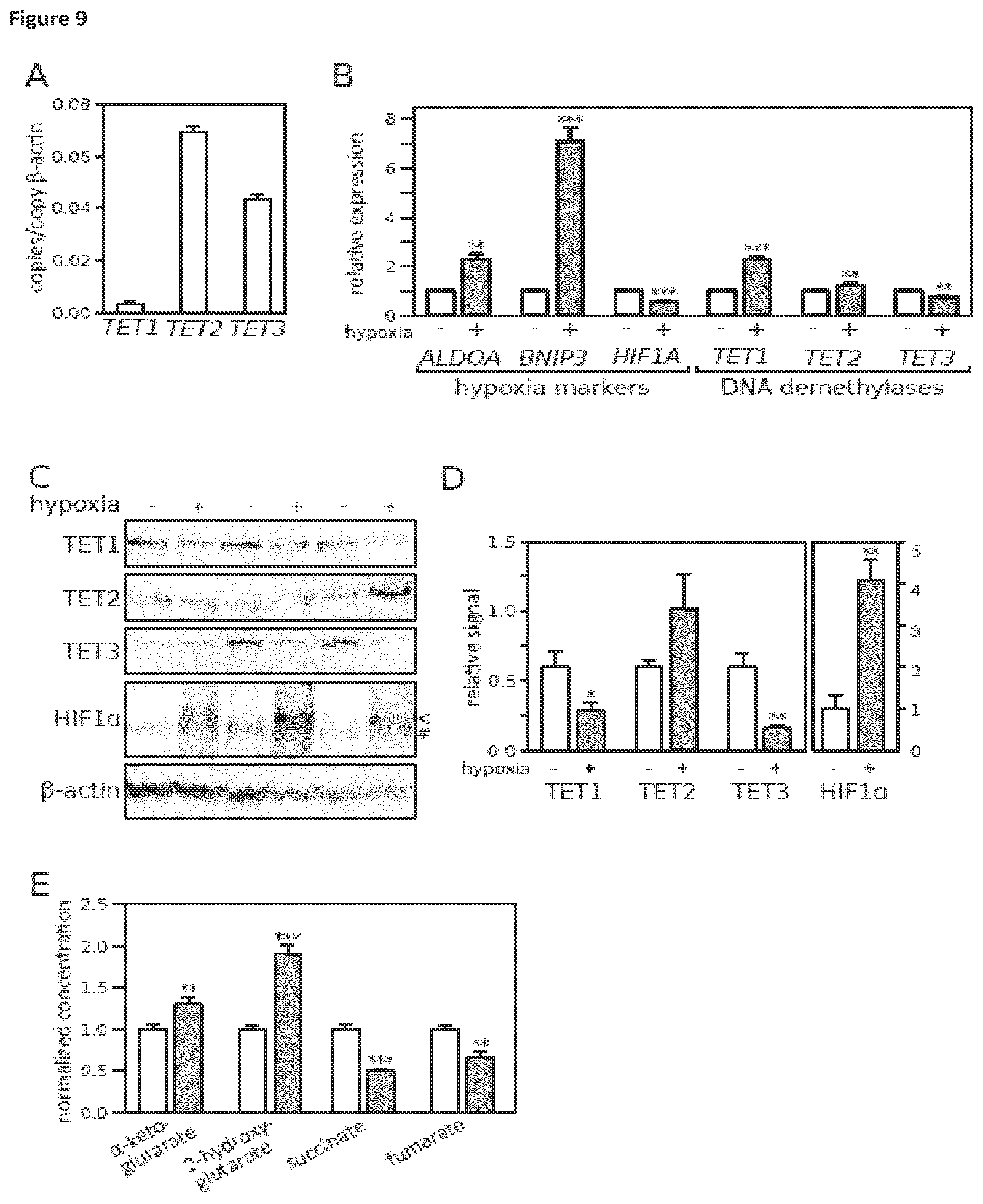 Patent US11814688 Figure 10 – Markers for determining tumor hypoxia