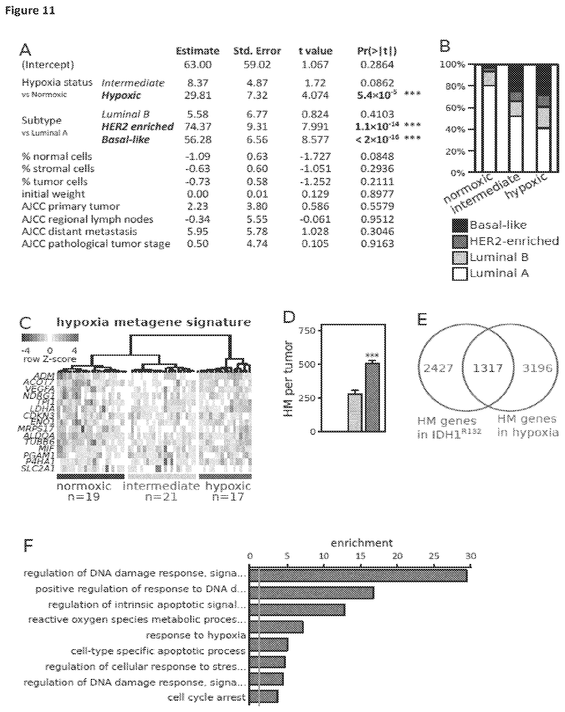 Patent US11814688 Figure 12 – Markers for determining tumor hypoxia