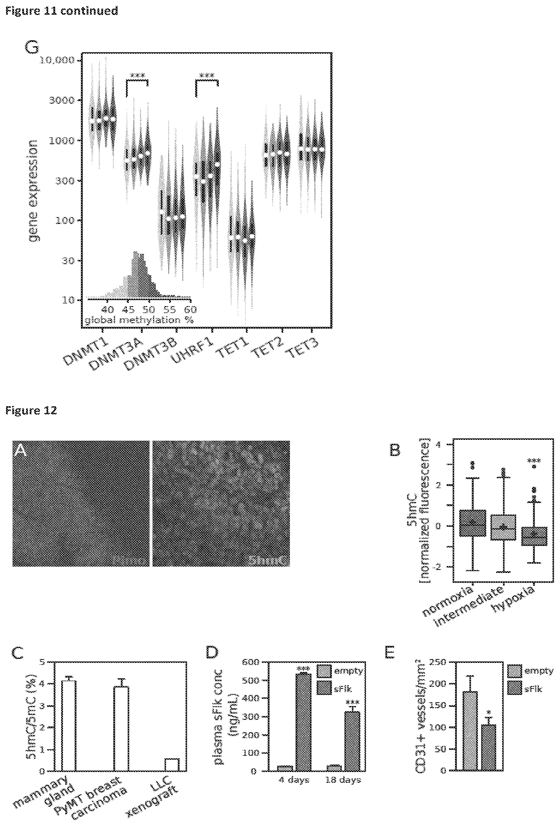 Patent US11814688 Figure 13 – Markers for determining tumor hypoxia